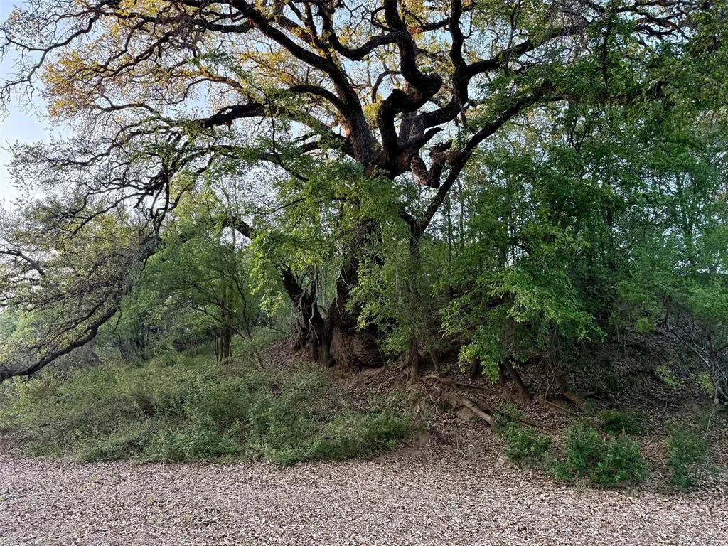 Ranch For Sale in Mc Culloch County , 950 CR 442, Mercury, Texas 76872, 0, 0, Garage spaces, 0 Sqft, built in 0, mls#21414250, Real Estate Agent in Mercury, Homes For Sale in Mc Culloch county, Homes For Sale in Mercury, Realtor in Mercury Texas, Real Estate Brokerage Independent Realty Texas, Luminita Cordes Realtor