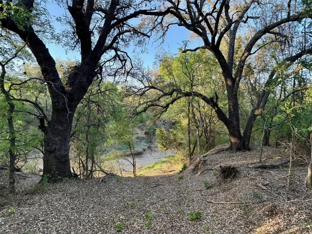 Ranch For Sale in Mc Culloch County , 950 CR 442, Mercury, Texas 76872, 0, 0, Garage spaces, 0 Sqft, built in 0, mls#21414250, Real Estate Agent in Mercury, Homes For Sale in Mc Culloch county, Homes For Sale in Mercury, Realtor in Mercury Texas, Real Estate Brokerage Independent Realty Texas, Luminita Cordes Realtor