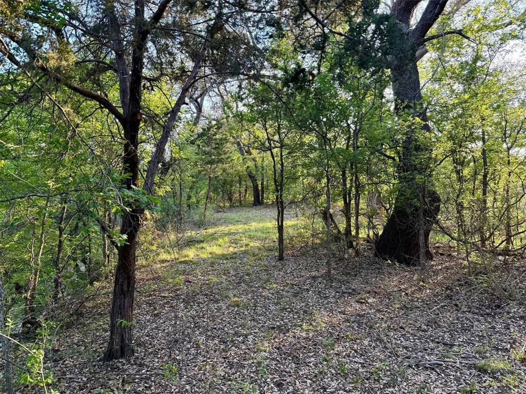 Ranch For Sale in Mc Culloch County , 950 CR 442, Mercury, Texas 76872, 0, 0, Garage spaces, 0 Sqft, built in 0, mls#21414250, Real Estate Agent in Mercury, Homes For Sale in Mc Culloch county, Homes For Sale in Mercury, Realtor in Mercury Texas, Real Estate Brokerage Independent Realty Texas, Luminita Cordes Realtor