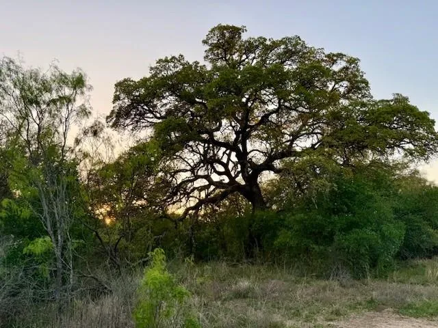 Ranch For Sale in Mc Culloch County , 950 CR 442, Mercury, Texas 76872, 0, 0, Garage spaces, 0 Sqft, built in 0, mls#21414250, Real Estate Agent in Mercury, Homes For Sale in Mc Culloch county, Homes For Sale in Mercury, Realtor in Mercury Texas, Real Estate Brokerage Independent Realty Texas, Luminita Cordes Realtor