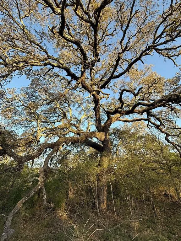 Ranch For Sale in Mc Culloch County , 950 CR 442, Mercury, Texas 76872, 0, 0, Garage spaces, 0 Sqft, built in 0, mls#21414250, Real Estate Agent in Mercury, Homes For Sale in Mc Culloch county, Homes For Sale in Mercury, Realtor in Mercury Texas, Real Estate Brokerage Independent Realty Texas, Luminita Cordes Realtor