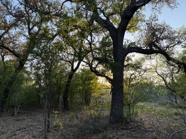 Ranch For Sale in Mc Culloch County , 950 CR 442, Mercury, Texas 76872, 0, 0, Garage spaces, 0 Sqft, built in 0, mls#21414250, Real Estate Agent in Mercury, Homes For Sale in Mc Culloch county, Homes For Sale in Mercury, Realtor in Mercury Texas, Real Estate Brokerage Independent Realty Texas, Luminita Cordes Realtor