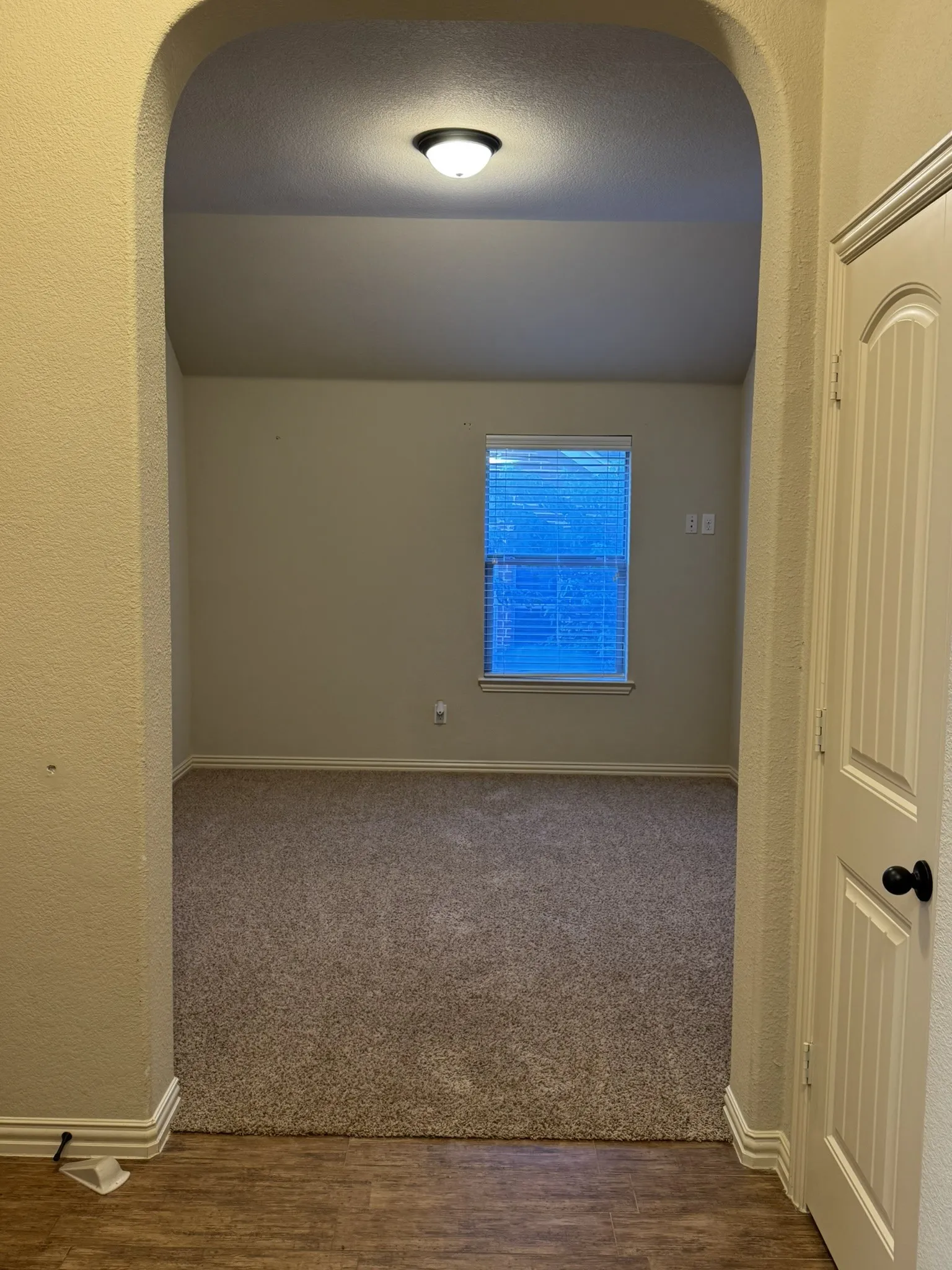 Arched entryway featuring neutral carpeting, a vaulted ceiling, a flush-mount light fixture, and a single-panel interior door