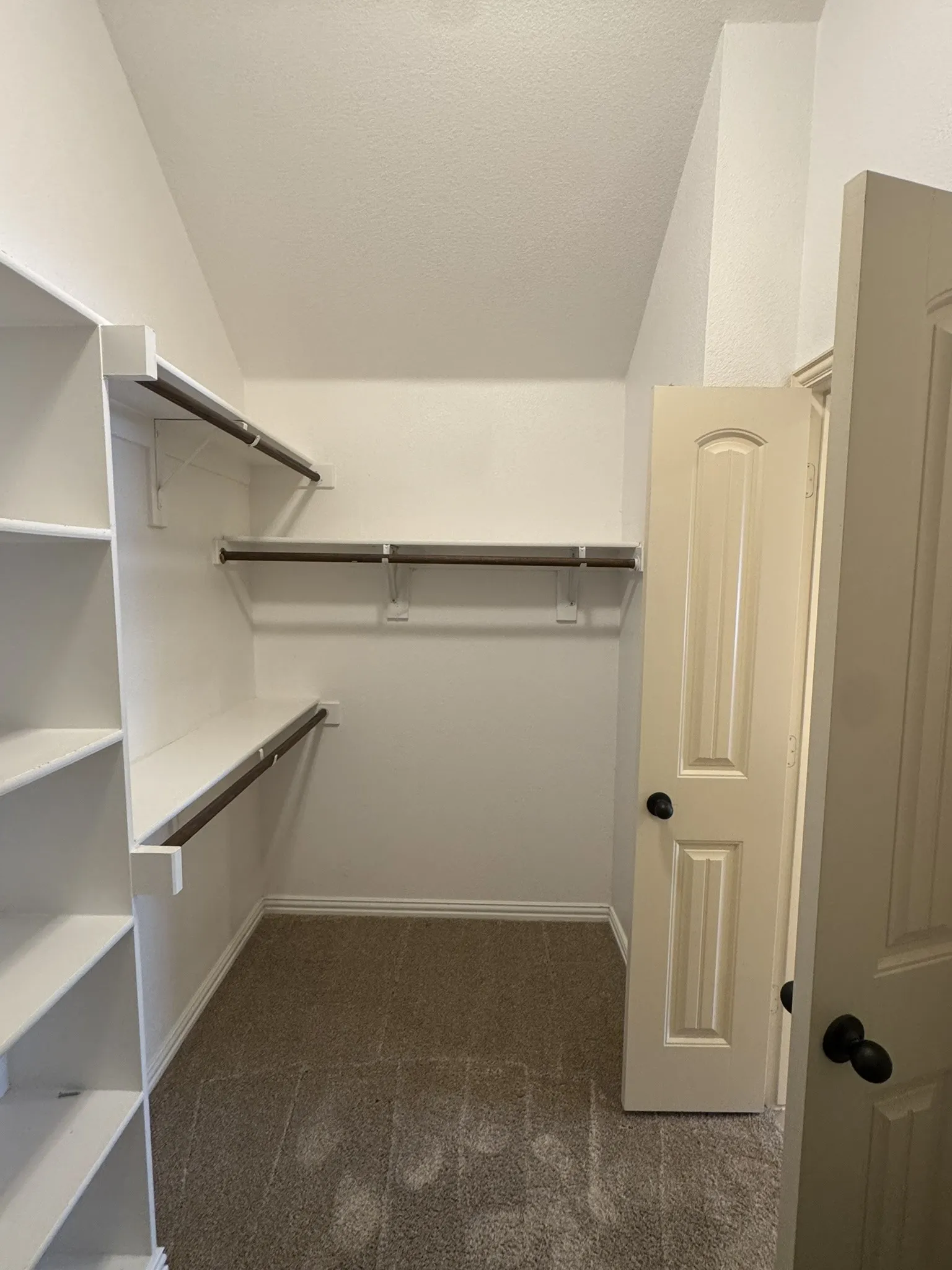 Walk-in closet featuring built-in white shelving, integrated hanging rods, carpeted flooring, and a six-panel door with matte black hardware