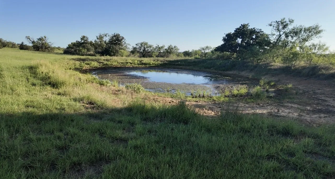 Ranch For Sale in San Saba County , 599 CR 241, Rochelle, Texas 76872, 0, 0, Garage spaces, 0 Sqft, built in 0, mls#21414748, Real Estate Agent in Rochelle, Homes For Sale in San Saba county, Homes For Sale in Rochelle, Realtor in Rochelle Texas, Real Estate Brokerage Independent Realty Texas, Luminita Cordes Realtor