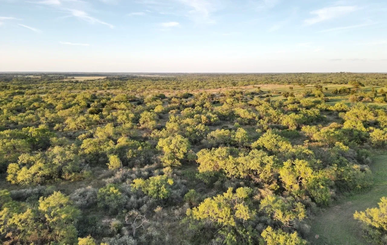 Ranch For Sale in San Saba County , 599 CR 241, Rochelle, Texas 76872, 0, 0, Garage spaces, 0 Sqft, built in 0, mls#21414748, Real Estate Agent in Rochelle, Homes For Sale in San Saba county, Homes For Sale in Rochelle, Realtor in Rochelle Texas, Real Estate Brokerage Independent Realty Texas, Luminita Cordes Realtor
