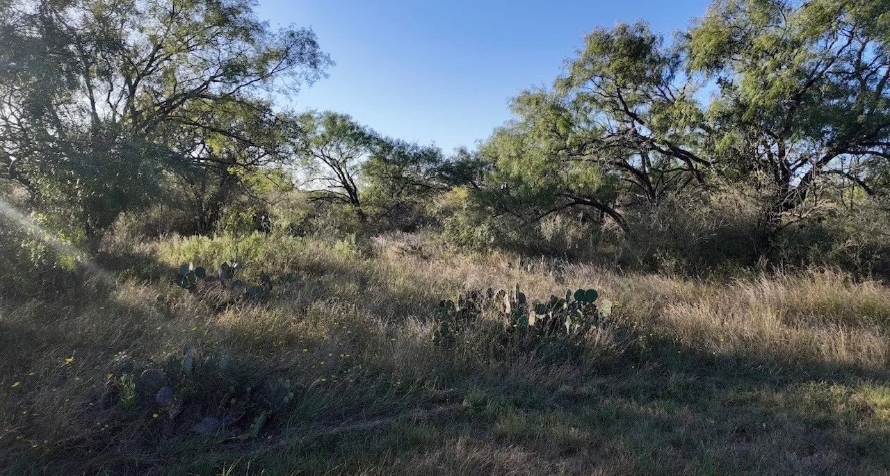 Ranch For Sale in San Saba County , 599 CR 241, Rochelle, Texas 76872, 0, 0, Garage spaces, 0 Sqft, built in 0, mls#21414748, Real Estate Agent in Rochelle, Homes For Sale in San Saba county, Homes For Sale in Rochelle, Realtor in Rochelle Texas, Real Estate Brokerage Independent Realty Texas, Luminita Cordes Realtor