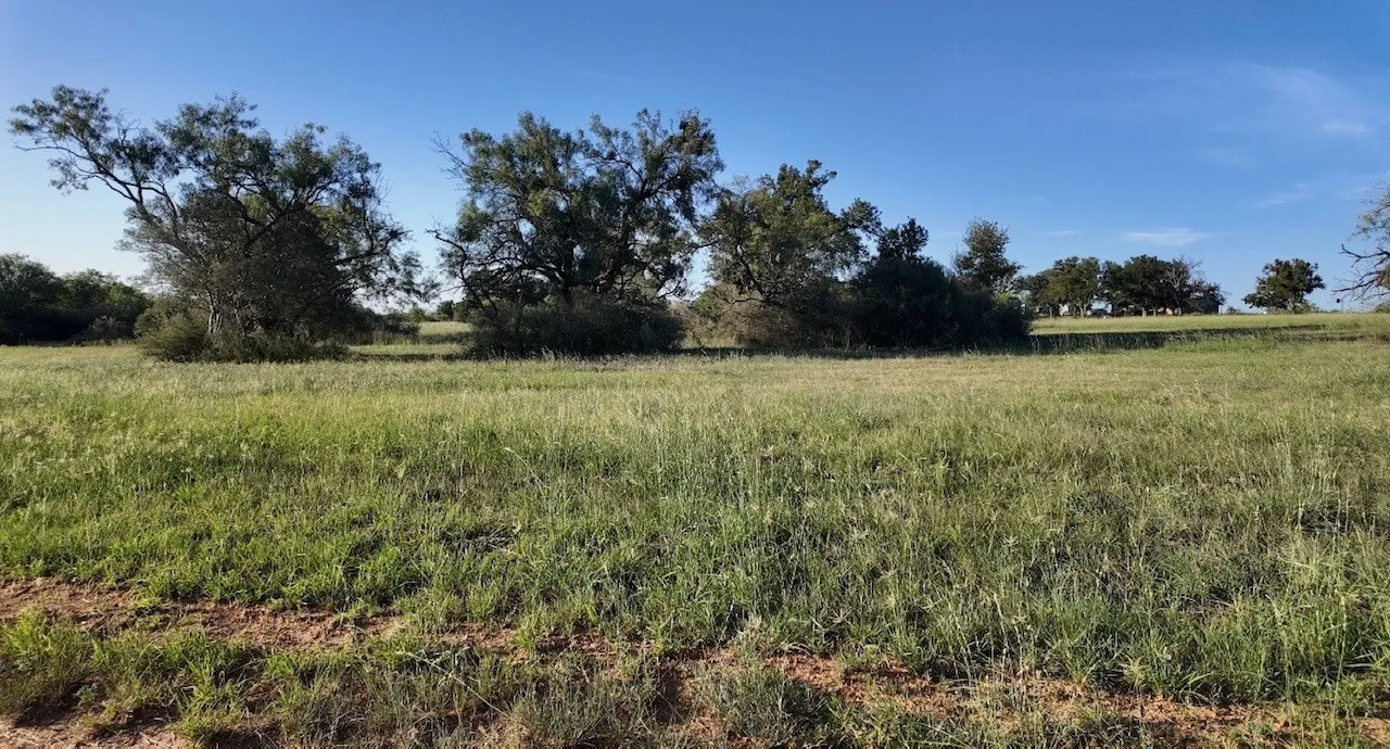 Ranch For Sale in San Saba County , 599 CR 241, Rochelle, Texas 76872, 0, 0, Garage spaces, 0 Sqft, built in 0, mls#21414748, Real Estate Agent in Rochelle, Homes For Sale in San Saba county, Homes For Sale in Rochelle, Realtor in Rochelle Texas, Real Estate Brokerage Independent Realty Texas, Luminita Cordes Realtor