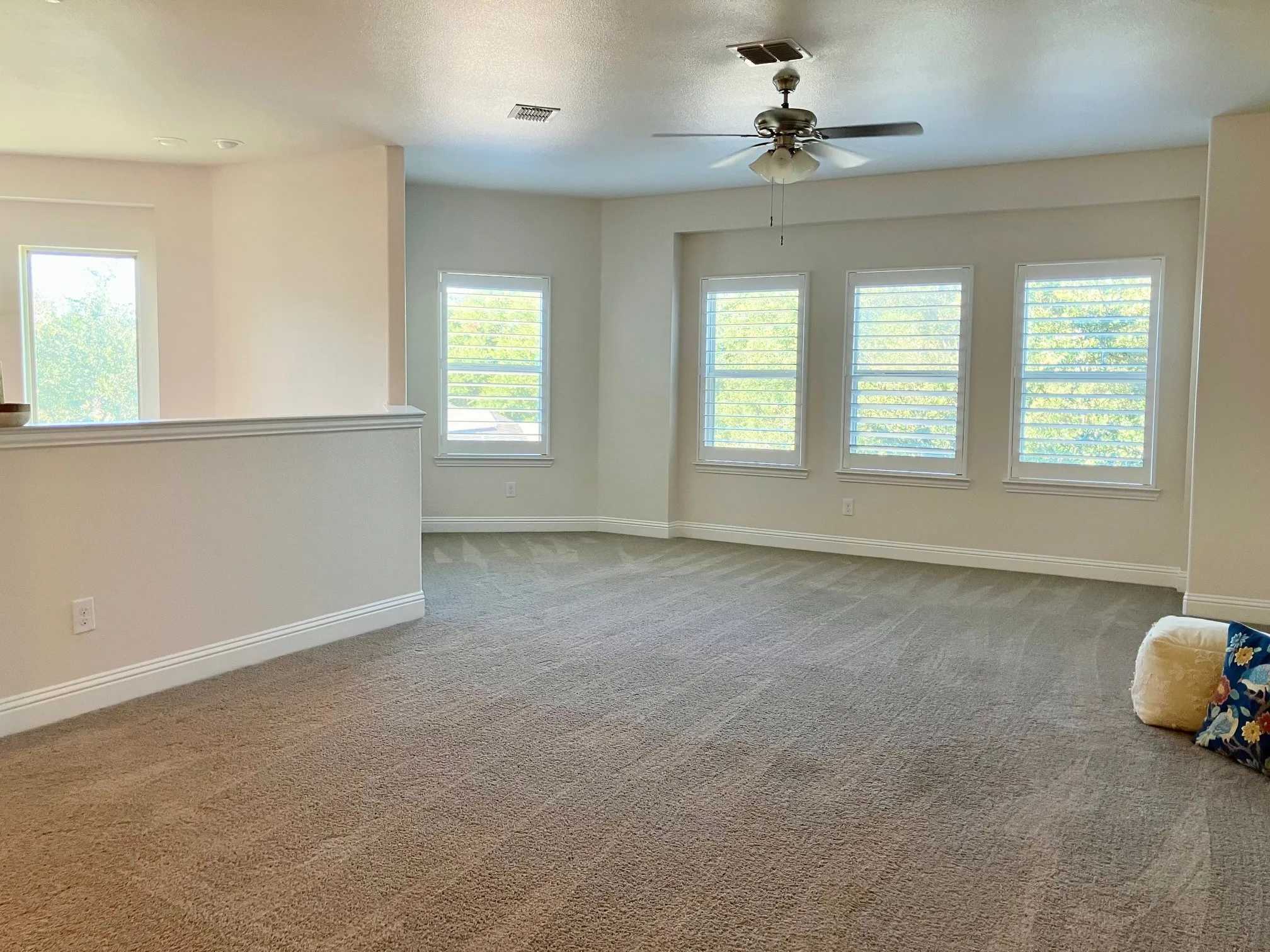 Upstairs living room, treetops, custom extra-wide shutters