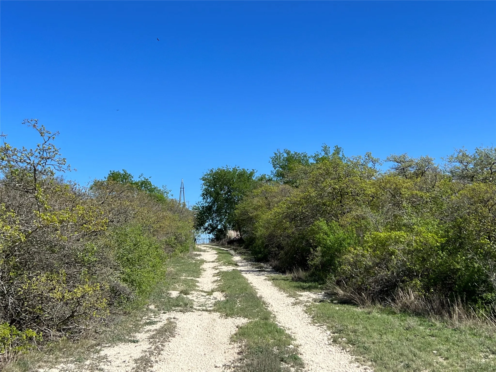 Ranch For Sale in Hamilton County , Lot 24 PR 6332, Hamilton, Texas 76531, 0, 0, Garage spaces, 0 Sqft, built in 0, mls#21414865, Real Estate Agent in Hamilton, Homes For Sale in Hamilton county, Homes For Sale in Hamilton, Realtor in Hamilton Texas, Real Estate Brokerage Independent Realty Texas, Luminita Cordes Realtor
