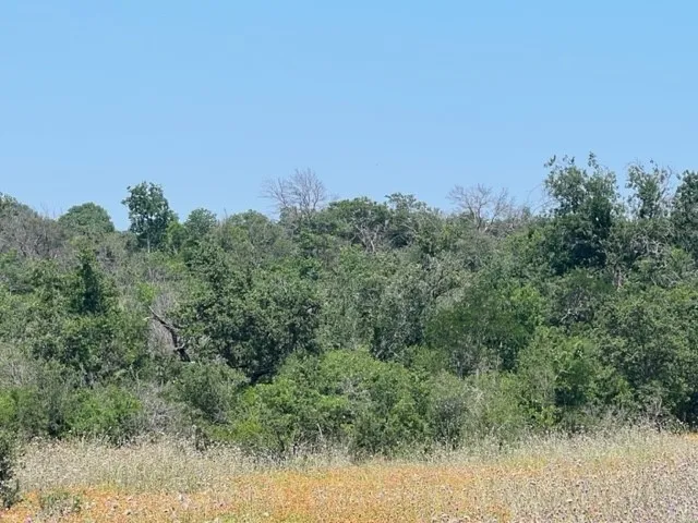 Ranch For Sale in Hamilton County , Lot 24 PR 6332, Hamilton, Texas 76531, 0, 0, Garage spaces, 0 Sqft, built in 0, mls#21414865, Real Estate Agent in Hamilton, Homes For Sale in Hamilton county, Homes For Sale in Hamilton, Realtor in Hamilton Texas, Real Estate Brokerage Independent Realty Texas, Luminita Cordes Realtor
