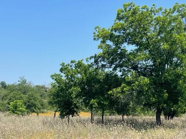 Ranch For Sale in Hamilton County , Lot 24 PR 6332, Hamilton, Texas 76531, 0, 0, Garage spaces, 0 Sqft, built in 0, mls#21414865, Real Estate Agent in Hamilton, Homes For Sale in Hamilton county, Homes For Sale in Hamilton, Realtor in Hamilton Texas, Real Estate Brokerage Independent Realty Texas, Luminita Cordes Realtor