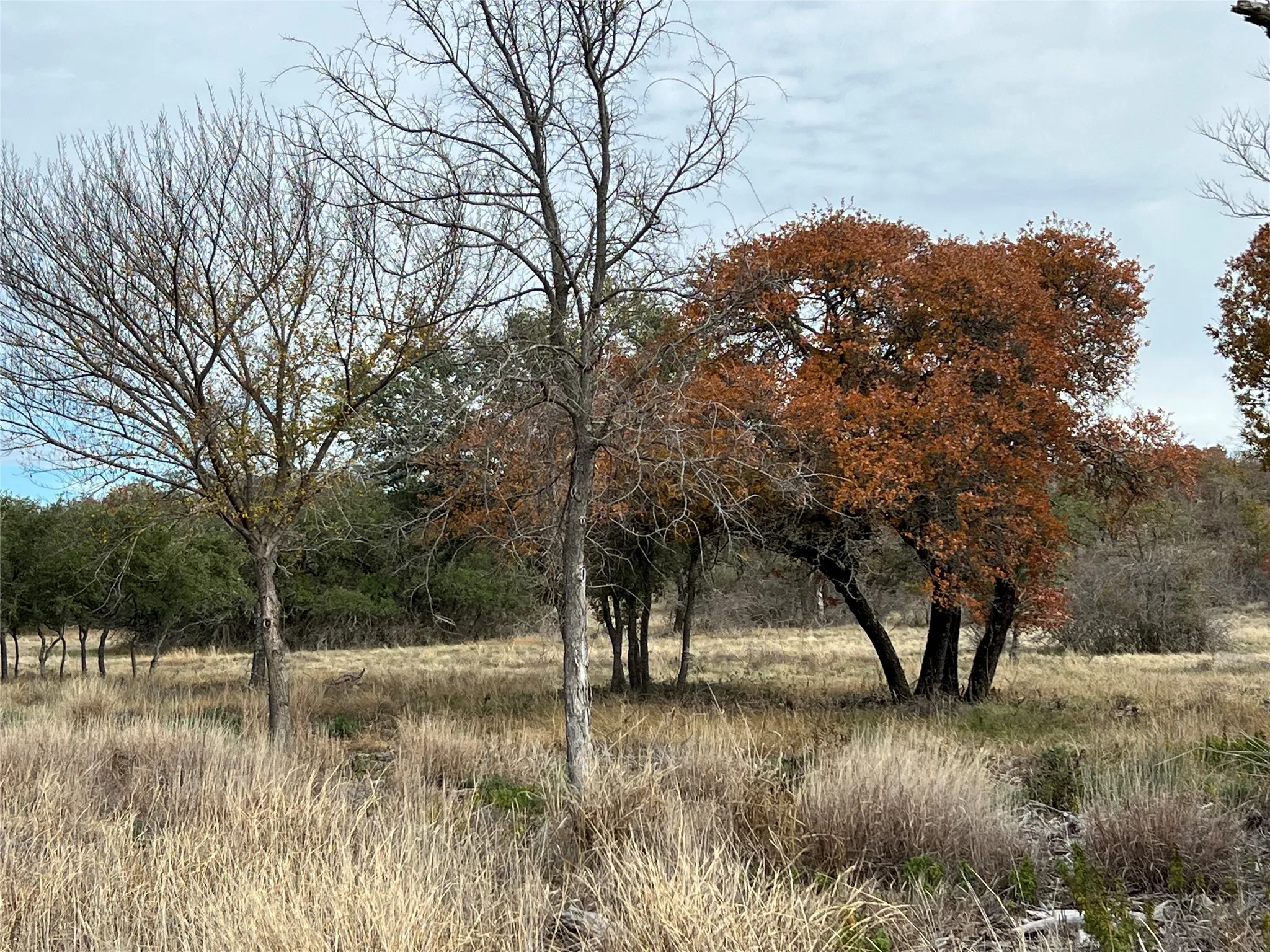 Ranch For Sale in Hamilton County , Lot 24 PR 6332, Hamilton, Texas 76531, 0, 0, Garage spaces, 0 Sqft, built in 0, mls#21414865, Real Estate Agent in Hamilton, Homes For Sale in Hamilton county, Homes For Sale in Hamilton, Realtor in Hamilton Texas, Real Estate Brokerage Independent Realty Texas, Luminita Cordes Realtor