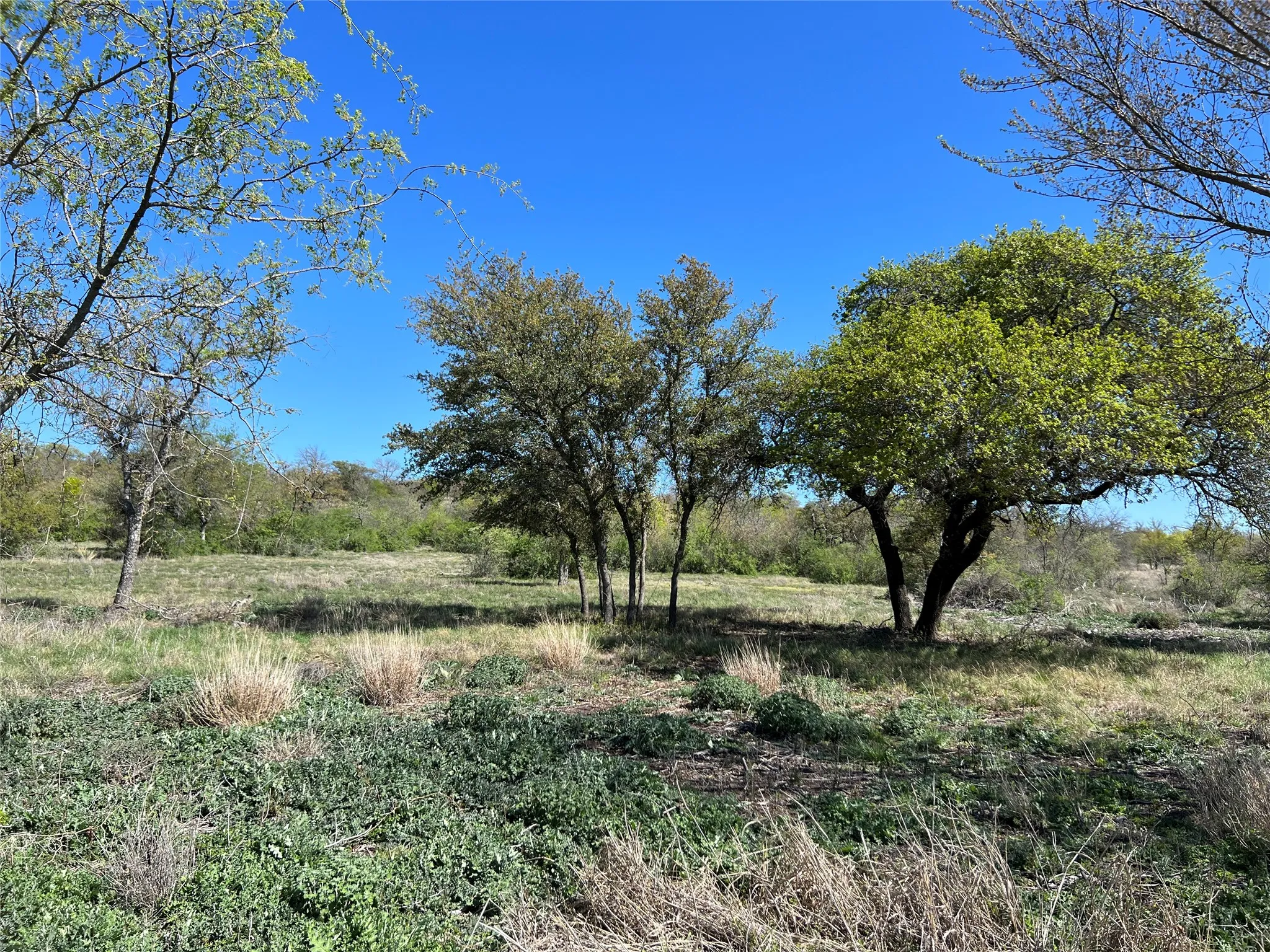 Ranch For Sale in Hamilton County , Lot 24 PR 6332, Hamilton, Texas 76531, 0, 0, Garage spaces, 0 Sqft, built in 0, mls#21414865, Real Estate Agent in Hamilton, Homes For Sale in Hamilton county, Homes For Sale in Hamilton, Realtor in Hamilton Texas, Real Estate Brokerage Independent Realty Texas, Luminita Cordes Realtor