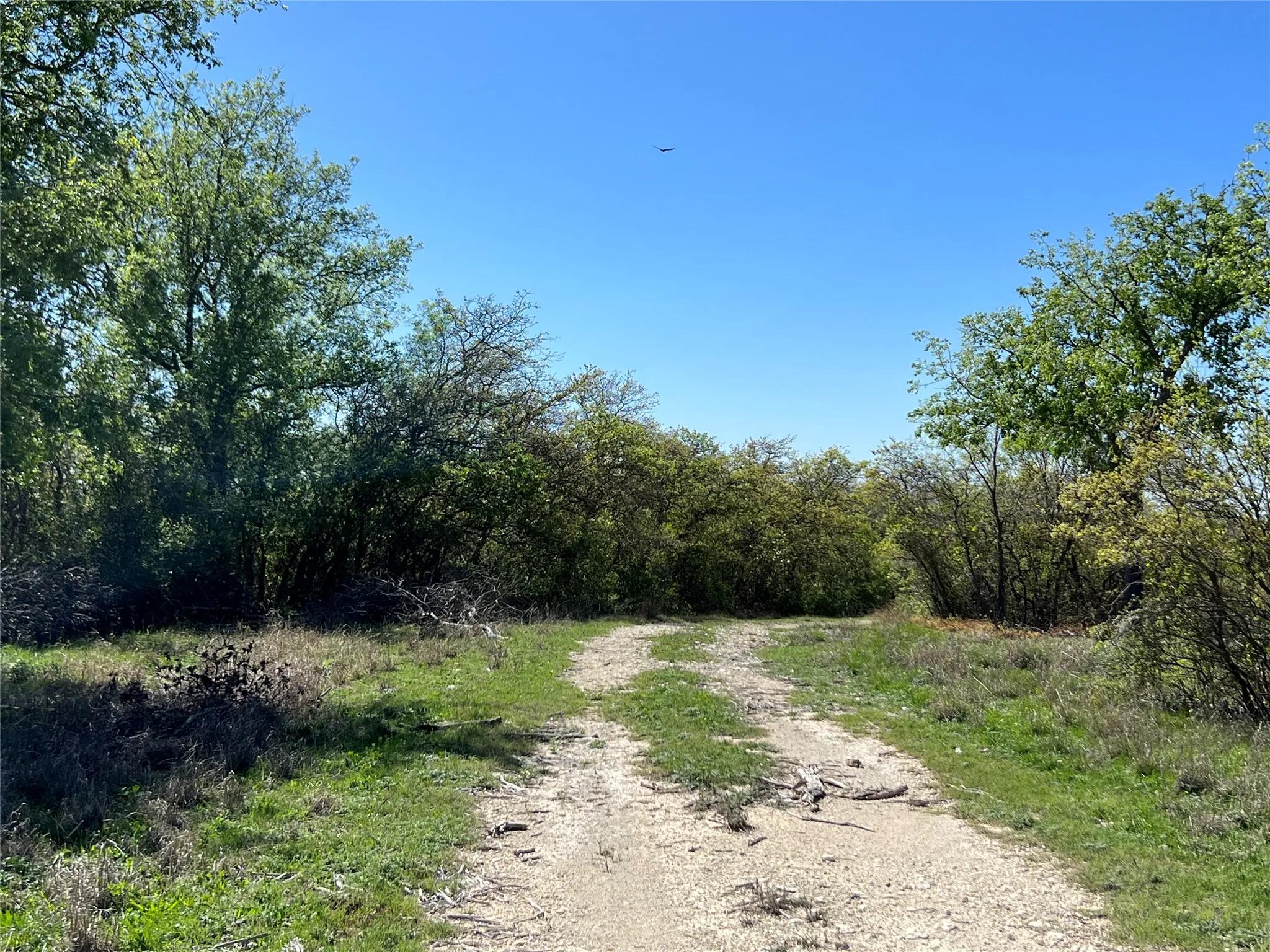 Ranch For Sale in Hamilton County , Lot 24 PR 6332, Hamilton, Texas 76531, 0, 0, Garage spaces, 0 Sqft, built in 0, mls#21414865, Real Estate Agent in Hamilton, Homes For Sale in Hamilton county, Homes For Sale in Hamilton, Realtor in Hamilton Texas, Real Estate Brokerage Independent Realty Texas, Luminita Cordes Realtor