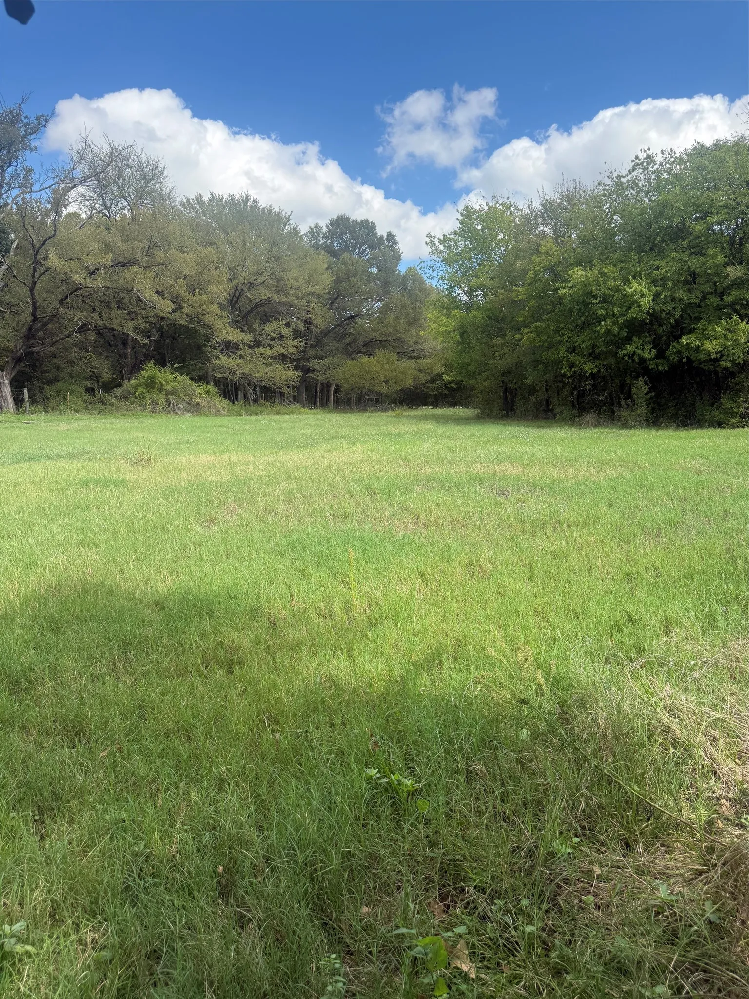 Single Family Residence For Sale in Johnson County , 5115 County Road 423, Grandview, Texas 76050, 3 Bedroom, 2 Bathroom, 2 Garage spaces, 1,500 Sqft, built in 2021, mls#21414851, Real Estate Agent in Grandview, Homes For Sale in Johnson county, Homes For Sale in Grandview, Realtor in Grandview Texas, Real Estate Brokerage Independent Realty Texas, Luminita Cordes Realtor