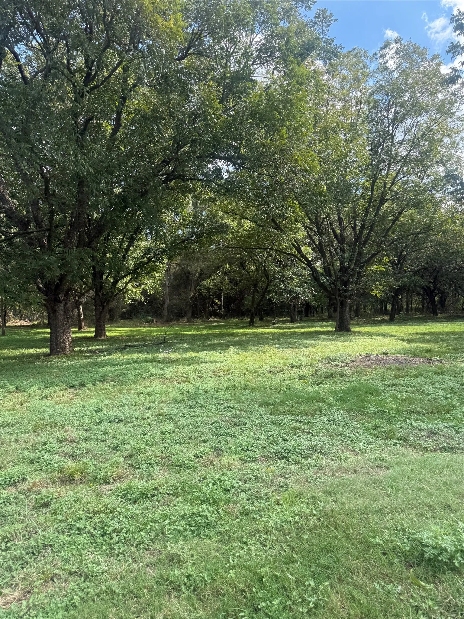 Single Family Residence For Sale in Johnson County , 5115 County Road 423, Grandview, Texas 76050, 3 Bedroom, 2 Bathroom, 2 Garage spaces, 1,500 Sqft, built in 2021, mls#21414851, Real Estate Agent in Grandview, Homes For Sale in Johnson county, Homes For Sale in Grandview, Realtor in Grandview Texas, Real Estate Brokerage Independent Realty Texas, Luminita Cordes Realtor