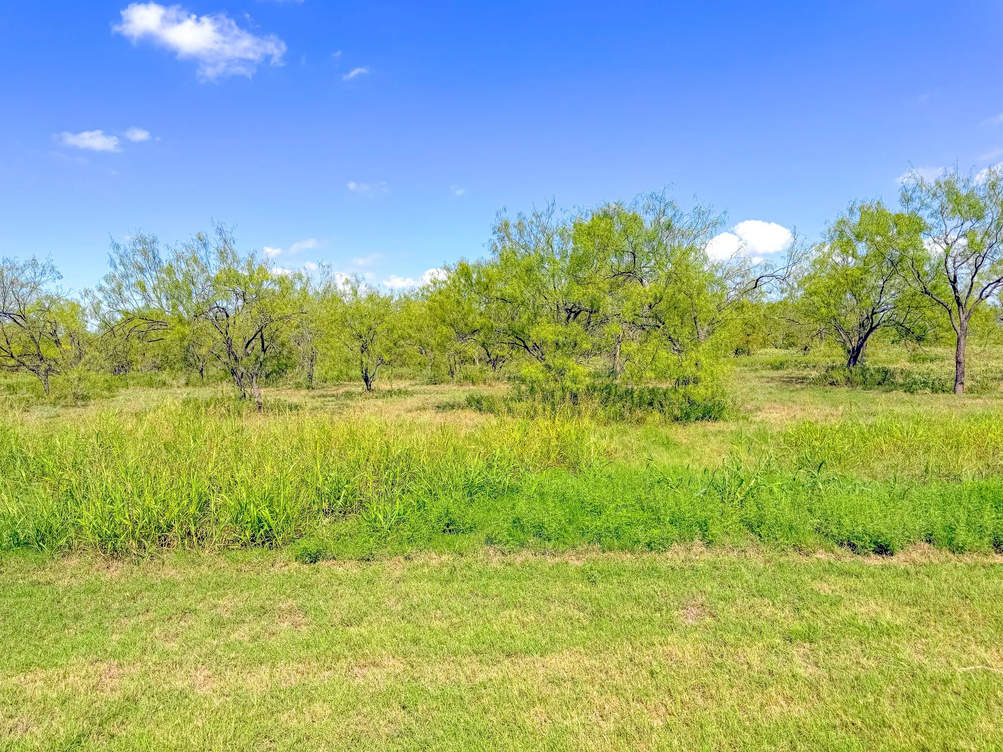 Unimproved Land For Sale in Navarro County , Lot 94 Richland Park, Corsicana, Texas 75109, 0, 0, Garage spaces, 0 Sqft, built in 0, mls#21412596, Real Estate Agent in Corsicana, Homes For Sale in Navarro county, Homes For Sale in Corsicana, Realtor in Corsicana Texas, Real Estate Brokerage Independent Realty Texas, Luminita Cordes Realtor