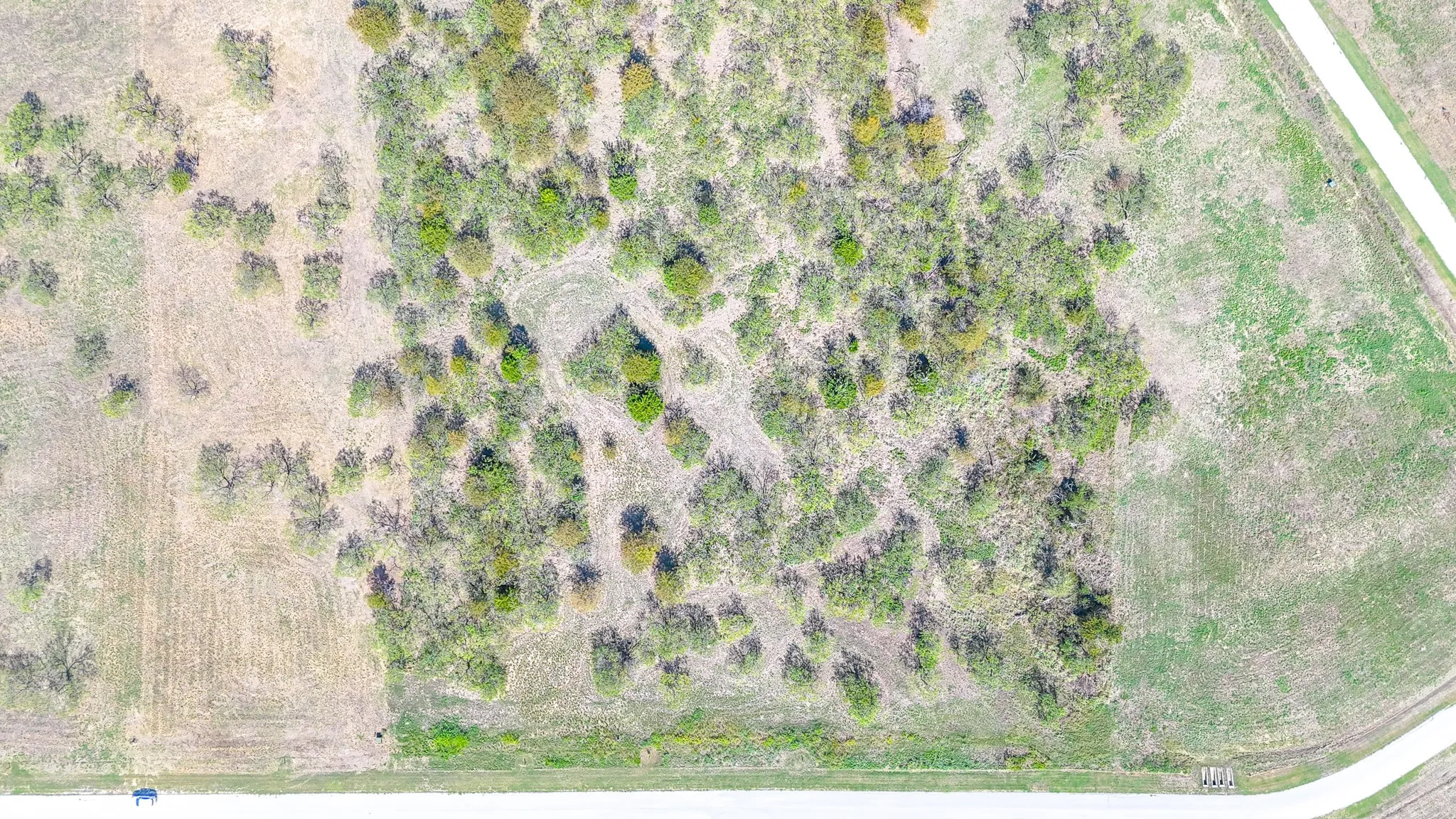 Unimproved Land For Sale in Navarro County , Lot 94 Richland Park, Corsicana, Texas 75109, 0, 0, Garage spaces, 0 Sqft, built in 0, mls#21412596, Real Estate Agent in Corsicana, Homes For Sale in Navarro county, Homes For Sale in Corsicana, Realtor in Corsicana Texas, Real Estate Brokerage Independent Realty Texas, Luminita Cordes Realtor