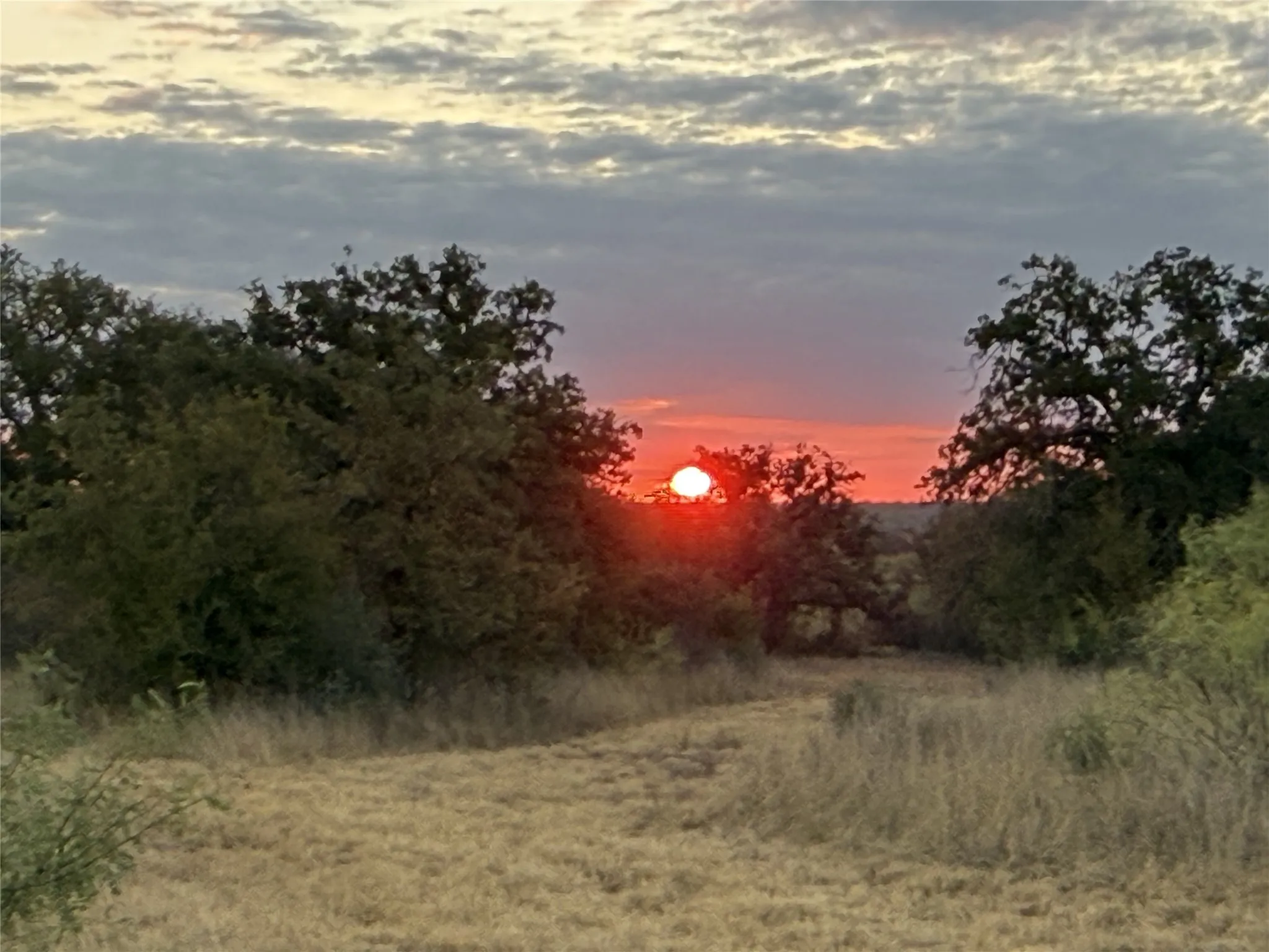 Farm For Sale in San Saba County , 11814 CR 266, Richland Springs, Texas 76871, 3 Bedroom, 2 Bathroom, Garage spaces, 1,344 Sqft, built in 1980, mls#21415143, Real Estate Agent in Richland Springs, Homes For Sale in San Saba county, Homes For Sale in Richland Springs, Realtor in Richland Springs Texas, Real Estate Brokerage Independent Realty Texas, Luminita Cordes Realtor