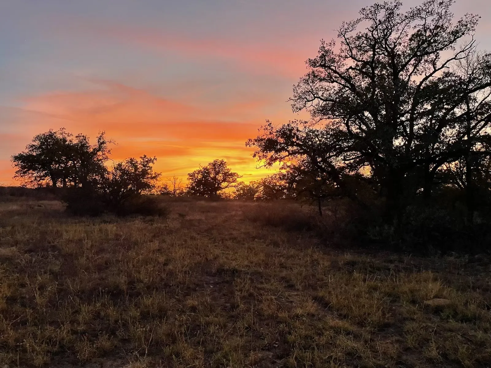Farm For Sale in San Saba County , 11814 CR 266, Richland Springs, Texas 76871, 3 Bedroom, 2 Bathroom, Garage spaces, 1,344 Sqft, built in 1980, mls#21415143, Real Estate Agent in Richland Springs, Homes For Sale in San Saba county, Homes For Sale in Richland Springs, Realtor in Richland Springs Texas, Real Estate Brokerage Independent Realty Texas, Luminita Cordes Realtor