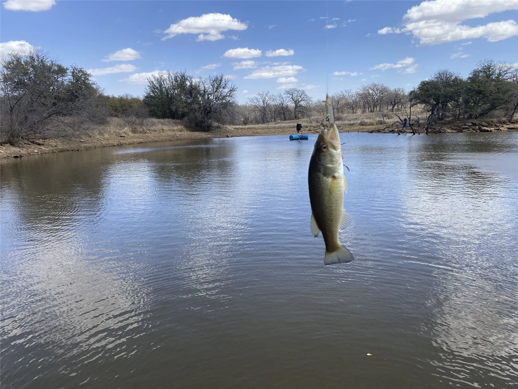 Farm For Sale in San Saba County , 11814 CR 266, Richland Springs, Texas 76871, 3 Bedroom, 2 Bathroom, Garage spaces, 1,344 Sqft, built in 1980, mls#21415143, Real Estate Agent in Richland Springs, Homes For Sale in San Saba county, Homes For Sale in Richland Springs, Realtor in Richland Springs Texas, Real Estate Brokerage Independent Realty Texas, Luminita Cordes Realtor