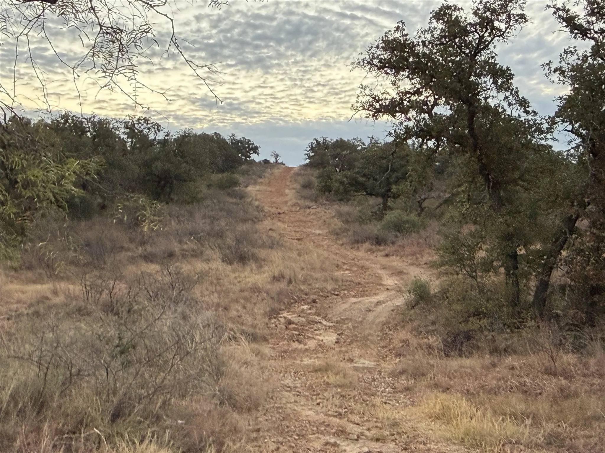 Farm For Sale in San Saba County , 11814 CR 266, Richland Springs, Texas 76871, 3 Bedroom, 2 Bathroom, Garage spaces, 1,344 Sqft, built in 1980, mls#21415143, Real Estate Agent in Richland Springs, Homes For Sale in San Saba county, Homes For Sale in Richland Springs, Realtor in Richland Springs Texas, Real Estate Brokerage Independent Realty Texas, Luminita Cordes Realtor