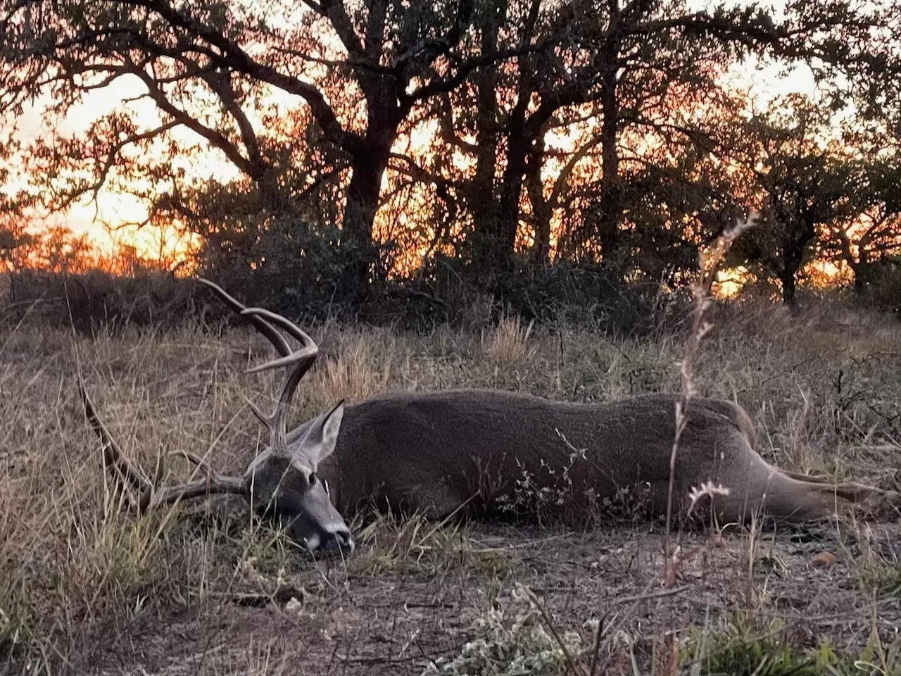 Farm For Sale in San Saba County , 11814 CR 266, Richland Springs, Texas 76871, 3 Bedroom, 2 Bathroom, Garage spaces, 1,344 Sqft, built in 1980, mls#21415143, Real Estate Agent in Richland Springs, Homes For Sale in San Saba county, Homes For Sale in Richland Springs, Realtor in Richland Springs Texas, Real Estate Brokerage Independent Realty Texas, Luminita Cordes Realtor