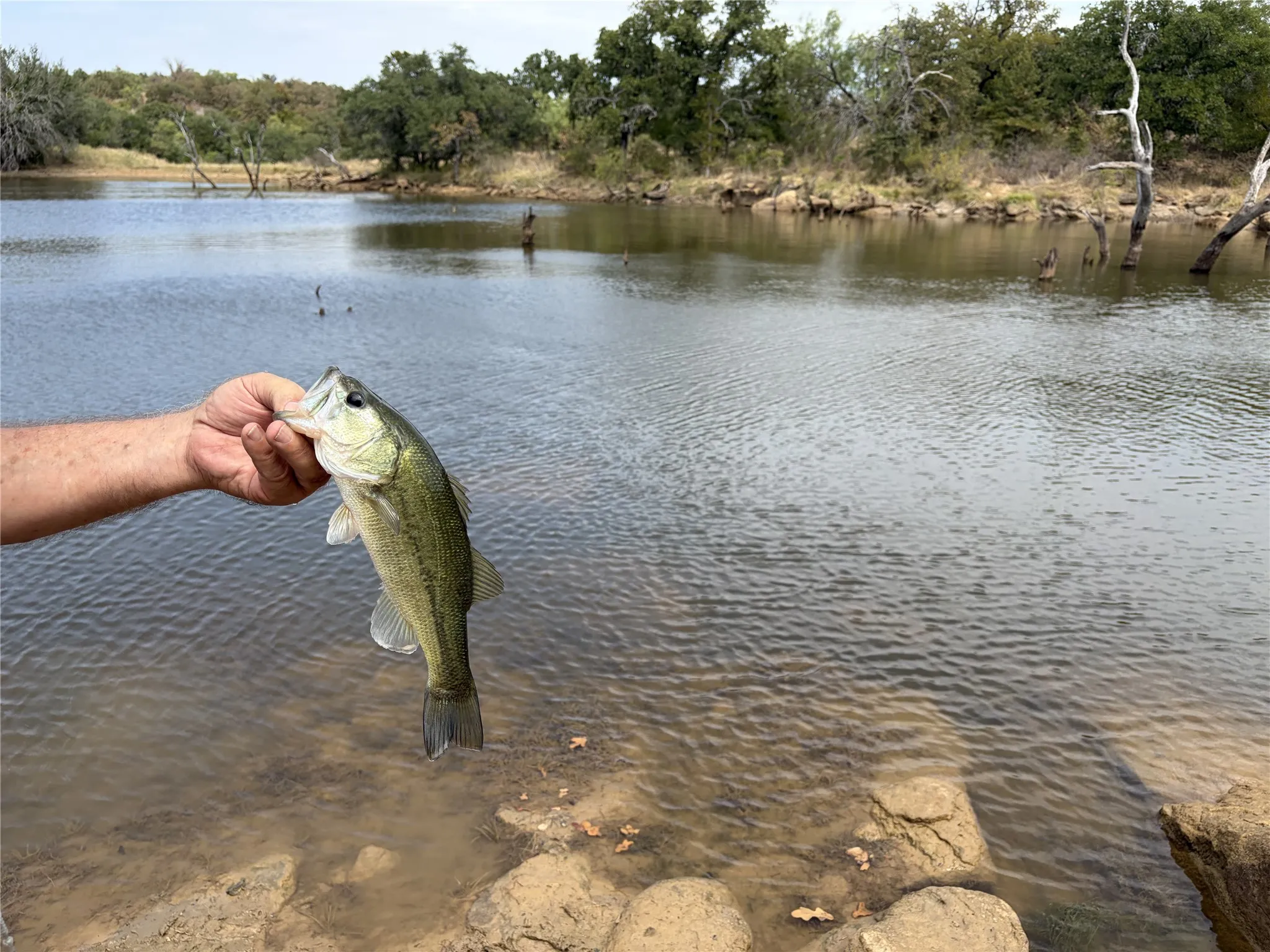 Farm For Sale in San Saba County , 11814 CR 266, Richland Springs, Texas 76871, 3 Bedroom, 2 Bathroom, Garage spaces, 1,344 Sqft, built in 1980, mls#21415143, Real Estate Agent in Richland Springs, Homes For Sale in San Saba county, Homes For Sale in Richland Springs, Realtor in Richland Springs Texas, Real Estate Brokerage Independent Realty Texas, Luminita Cordes Realtor