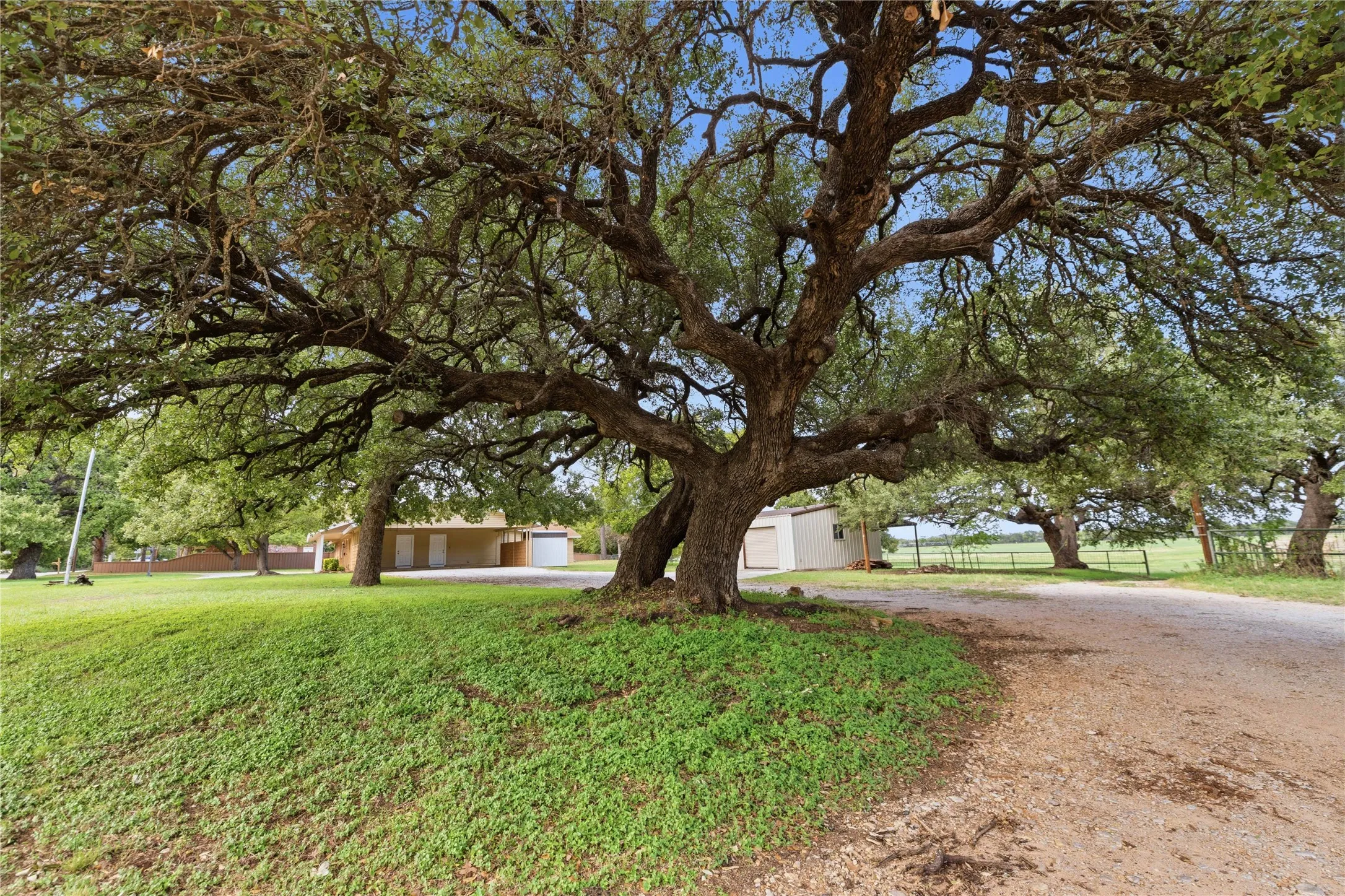 Single Family Residence For Sale in Brown County , 1822 VINE Street, Brownwood, Texas 75801, 4 Bedroom, 3 Bathroom, Garage spaces, 3,417 Sqft, built in 1980, mls#21414453, Real Estate Agent in Brownwood, Homes For Sale in Brown county, Homes For Sale in Brownwood, Realtor in Brownwood Texas, Real Estate Brokerage Independent Realty Texas, Luminita Cordes Realtor