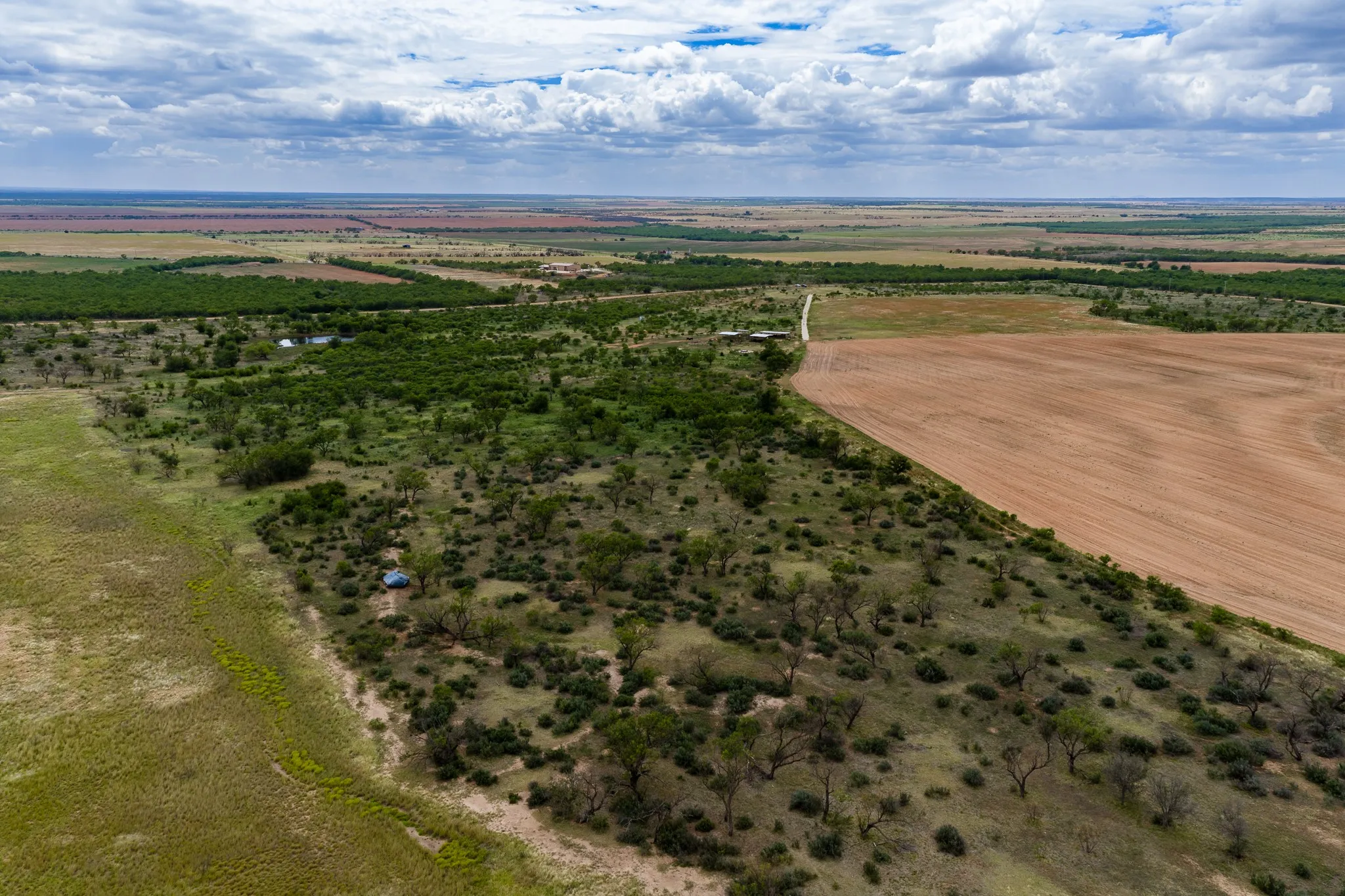 Unimproved Land For Sale in Jones County , Tract 4 TBD CR 481, Anson, Texas 79501, 0, 0, Garage spaces, 0 Sqft, built in 1900, mls#21415880, Real Estate Agent in Anson, Homes For Sale in Jones county, Homes For Sale in Anson, Realtor in Anson Texas, Real Estate Brokerage Independent Realty Texas, Luminita Cordes Realtor