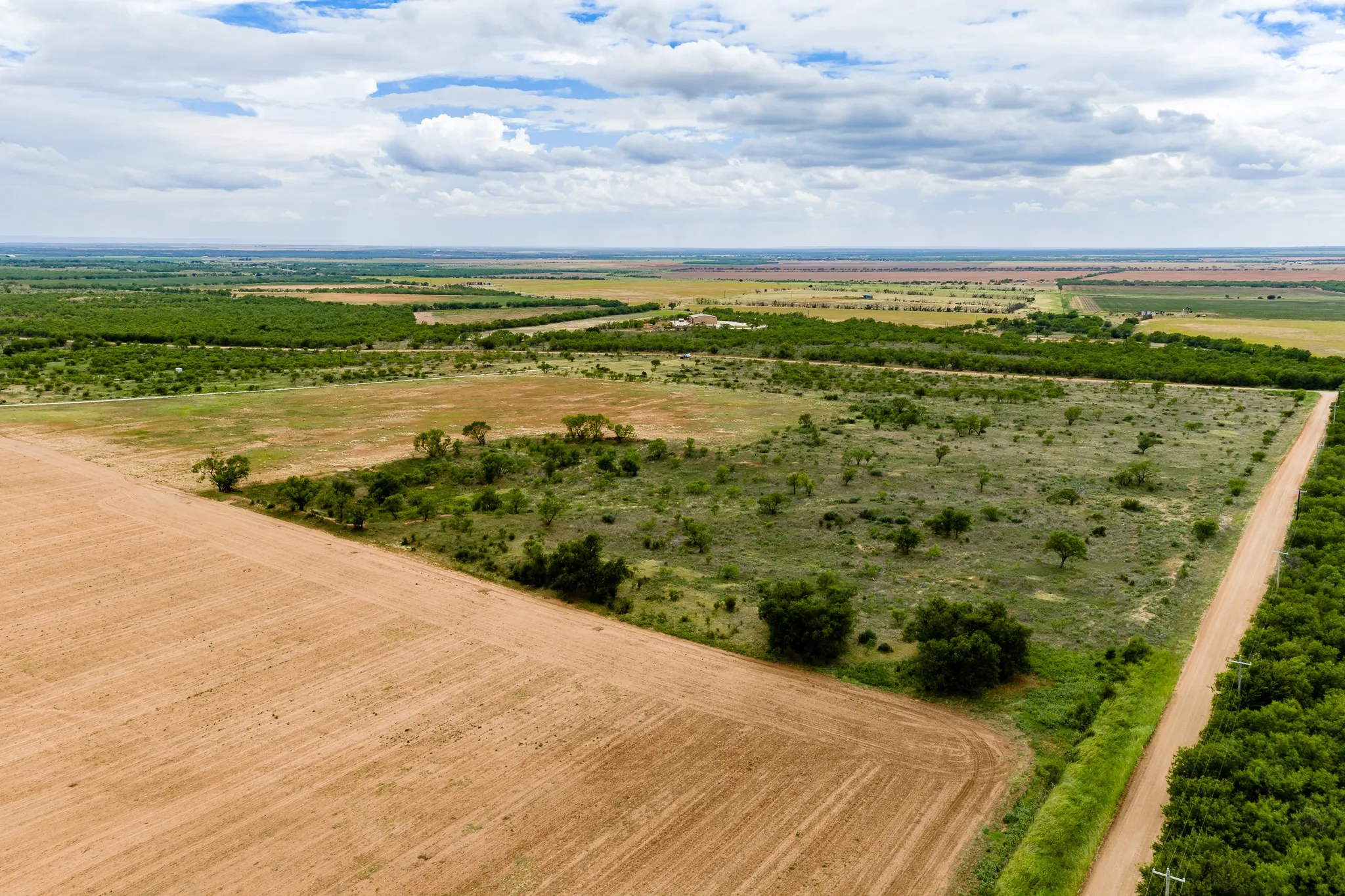 Unimproved Land For Sale in Jones County , TRACT 5 TBD CR 481, Anson, Texas 79501, 0, 0, Garage spaces, 0 Sqft, built in 1900, mls#21415883, Real Estate Agent in Anson, Homes For Sale in Jones county, Homes For Sale in Anson, Realtor in Anson Texas, Real Estate Brokerage Independent Realty Texas, Luminita Cordes Realtor