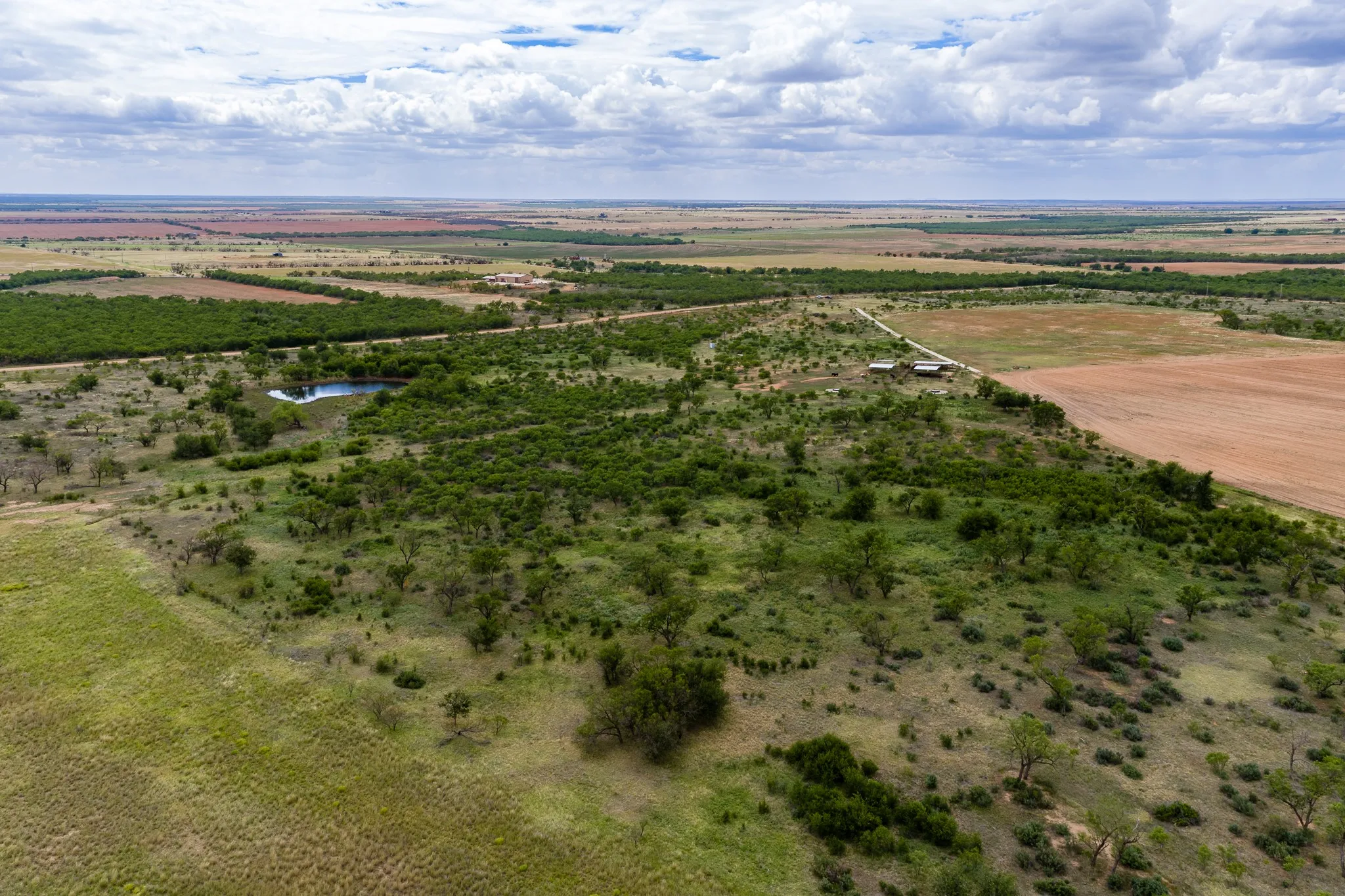 Unimproved Land For Sale in Jones County , TRACT 5 TBD CR 481, Anson, Texas 79501, 0, 0, Garage spaces, 0 Sqft, built in 1900, mls#21415883, Real Estate Agent in Anson, Homes For Sale in Jones county, Homes For Sale in Anson, Realtor in Anson Texas, Real Estate Brokerage Independent Realty Texas, Luminita Cordes Realtor