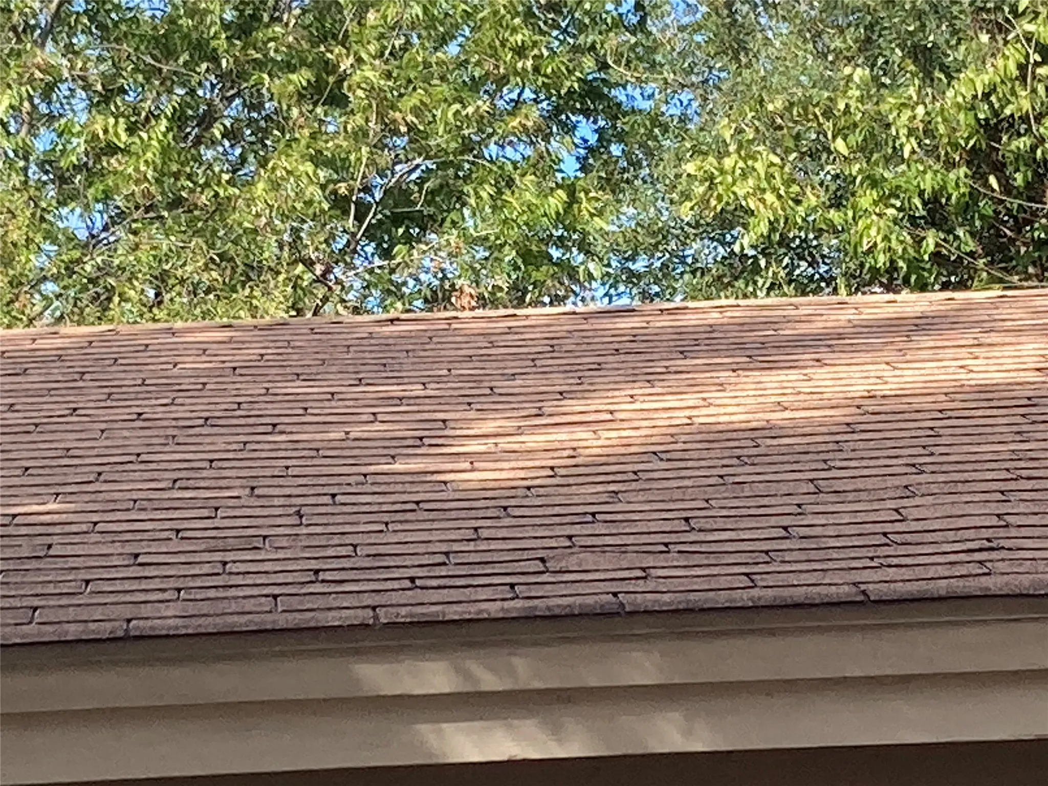 Single Family Residence For Sale in Tarrant County , 1241 Valentine Street, Hurst, Texas 76053, 3 Bedroom, 2 Bathroom, 2 Garage spaces, 1,377 Sqft, built in 1962, mls#21415840, Real Estate Agent in Hurst, Homes For Sale in Tarrant county, Homes For Sale in Hurst, Realtor in Hurst Texas, Real Estate Brokerage Independent Realty Texas, Luminita Cordes Realtor