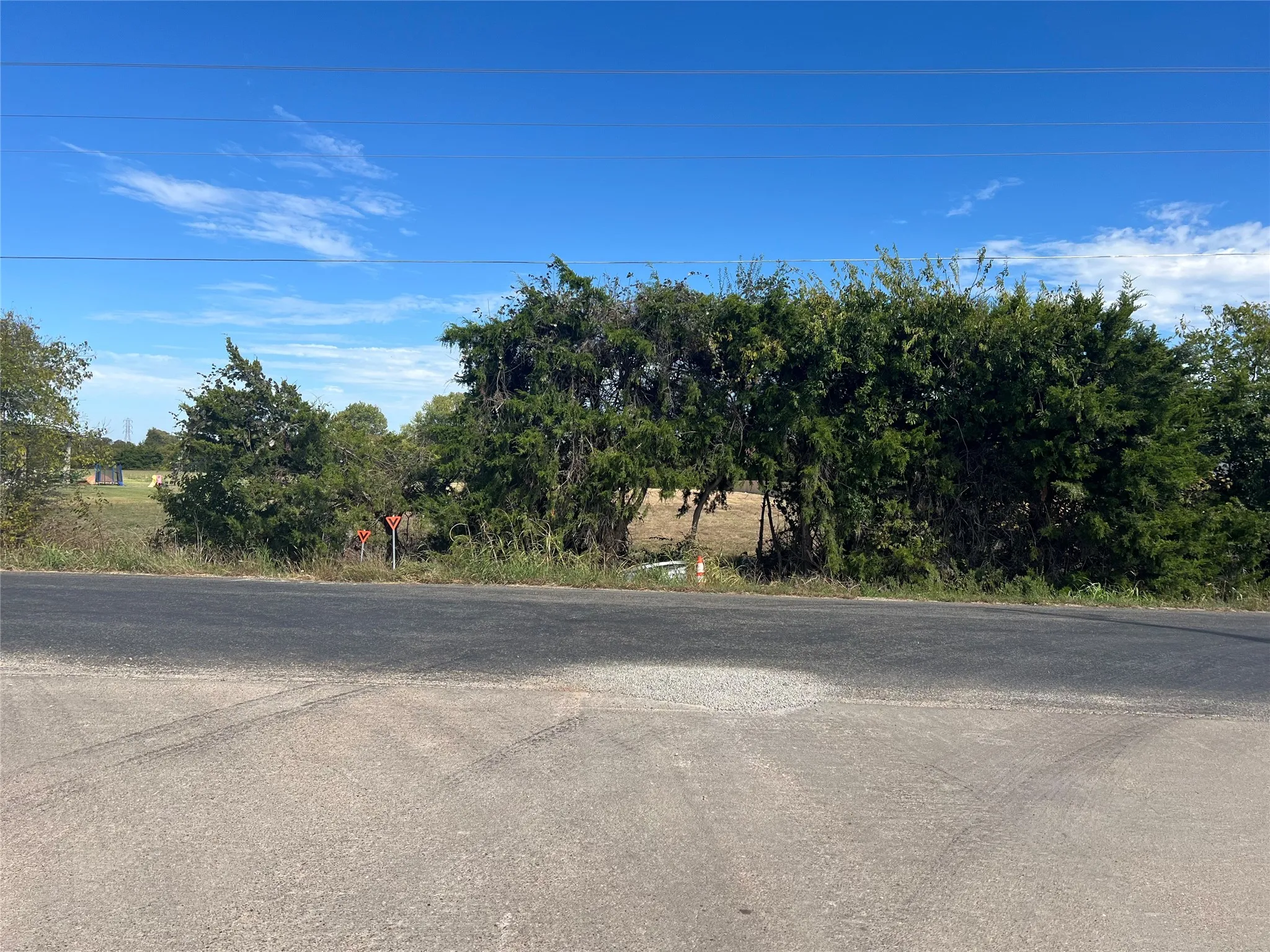 Expansive parcel featuring mature trees and established perimeter vegetation