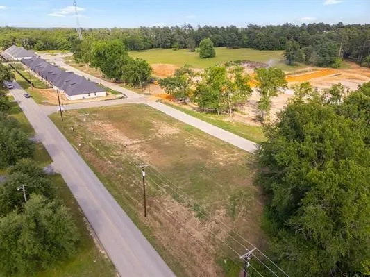 Unimproved Land For Sale in Smith County , 14245 County Road 192, Tyler, Texas 75703, 0, 0, Garage spaces, 0 Sqft, built in 0, mls#21415350, Real Estate Agent in Tyler, Homes For Sale in Smith county, Homes For Sale in Tyler, Realtor in Tyler Texas, Real Estate Brokerage Independent Realty Texas, Luminita Cordes Realtor