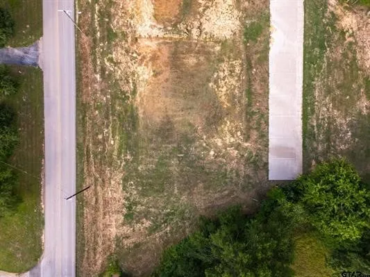 Unimproved Land For Sale in Smith County , 14245 County Road 192, Tyler, Texas 75703, 0, 0, Garage spaces, 0 Sqft, built in 0, mls#21415350, Real Estate Agent in Tyler, Homes For Sale in Smith county, Homes For Sale in Tyler, Realtor in Tyler Texas, Real Estate Brokerage Independent Realty Texas, Luminita Cordes Realtor