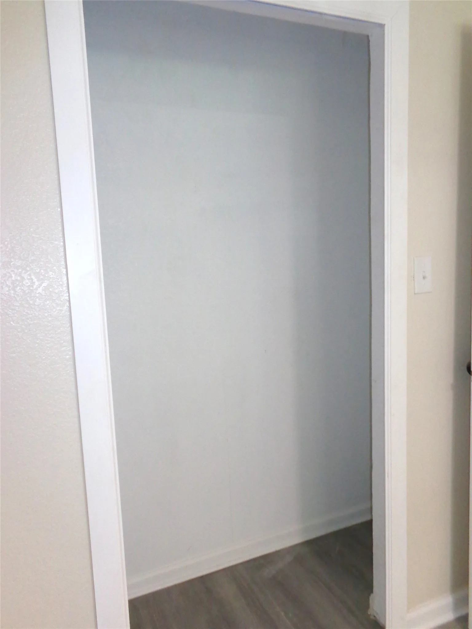 Interior storage closet featuring wood-finish flooring and white painted walls
