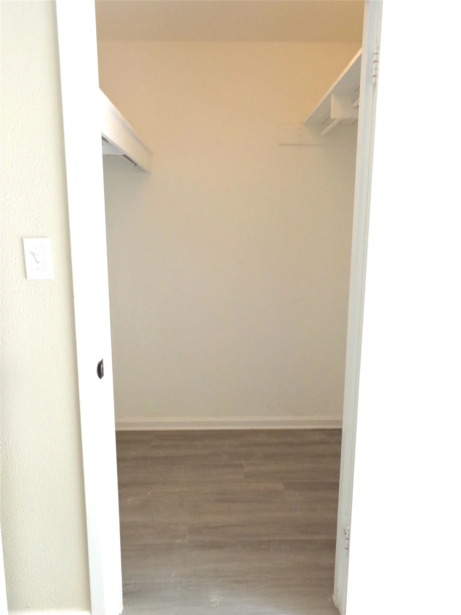 Primary Walk-in Closet featuring wood-finish flooring and dual levels of built-in shelving