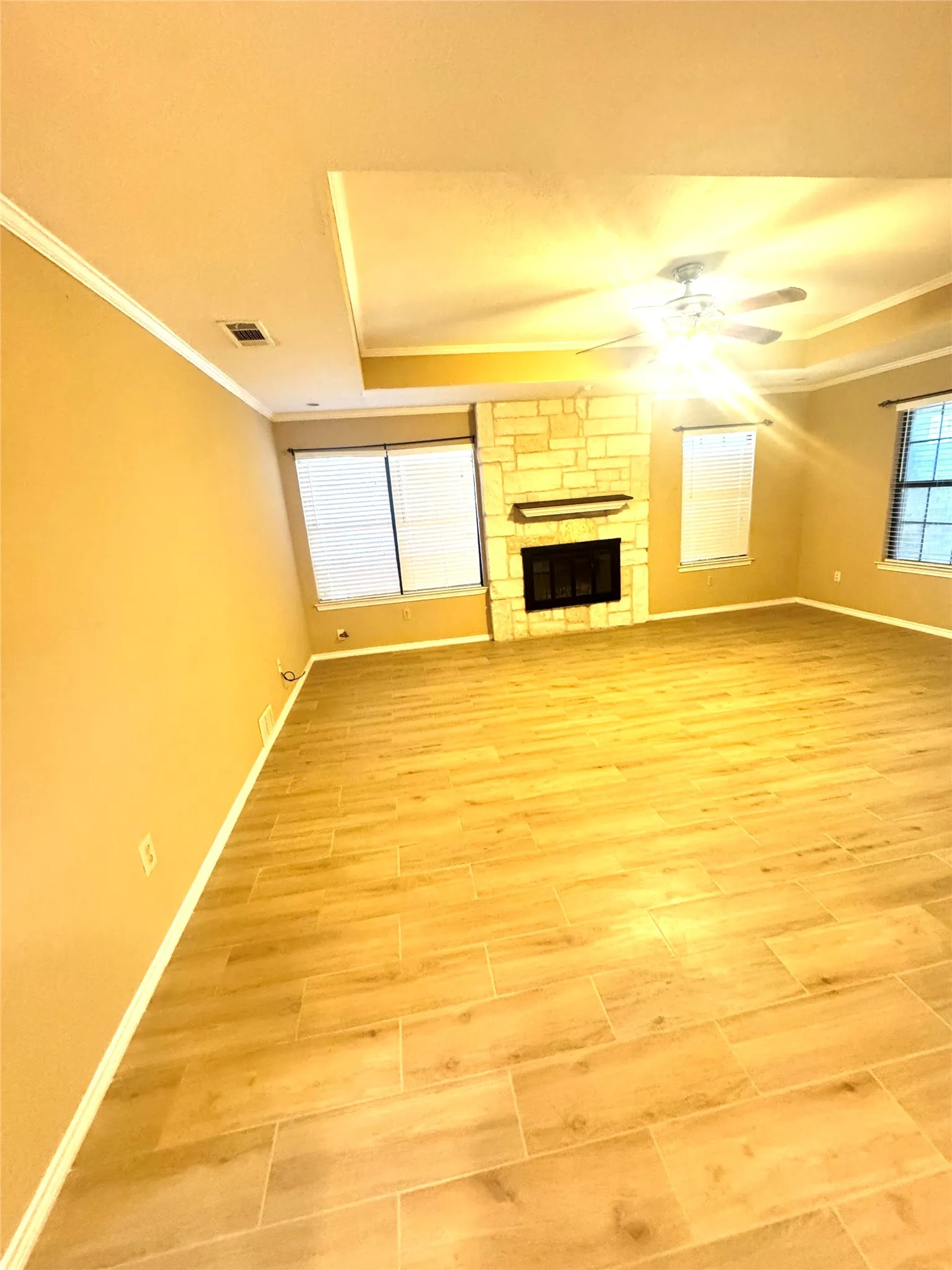 Tray ceiling, stone-surround fireplace with a mantel, wood-finish flooring, and multi-pane windows