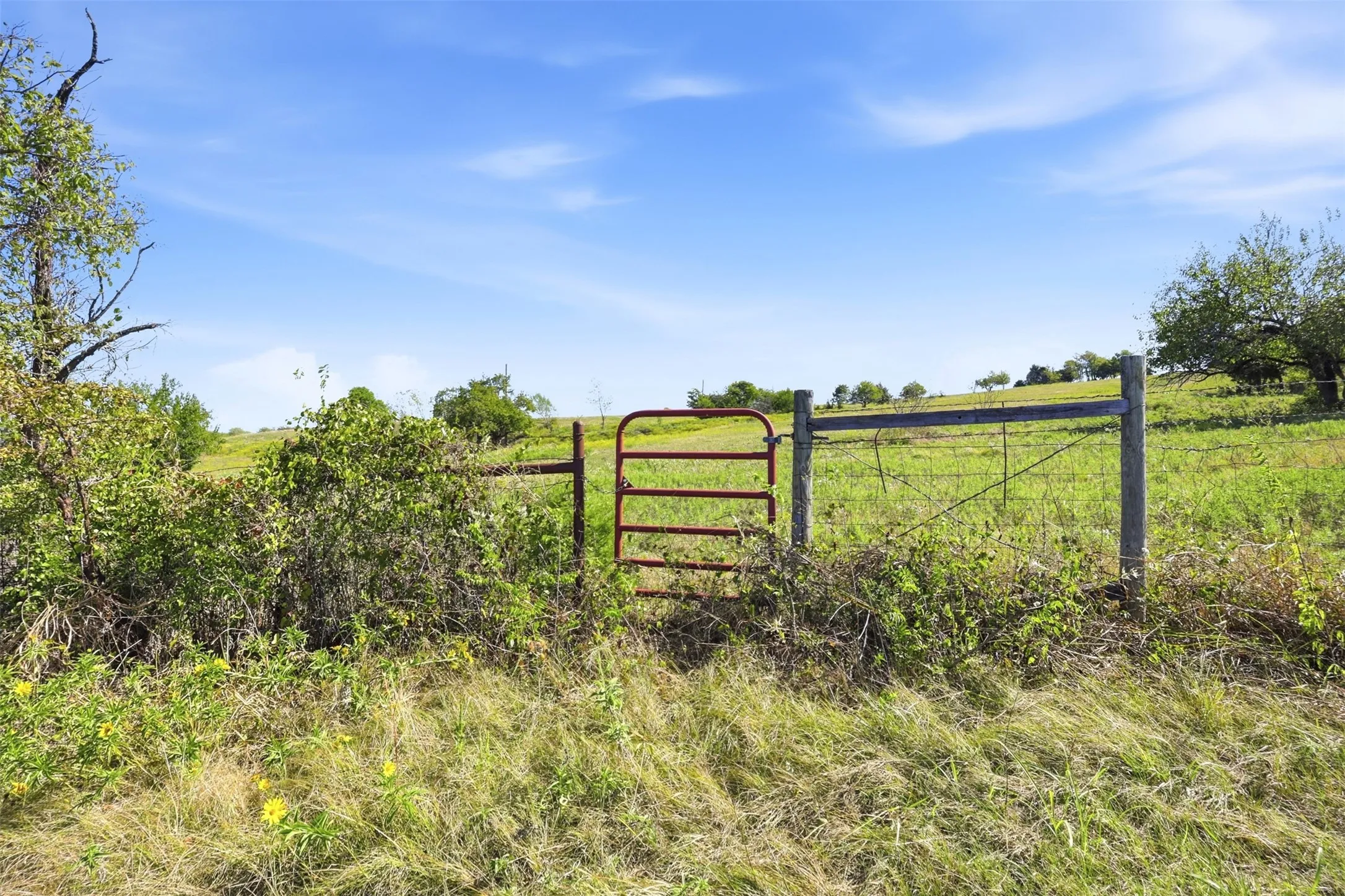 Unimproved Land For Sale in Collin County , 16947 TBA 01 County Road 617, Farmersville, Texas 75442, 0, 0, Garage spaces, 0 Sqft, built in 1994, mls#21412927, Real Estate Agent in Farmersville, Homes For Sale in Collin county, Homes For Sale in Farmersville, Realtor in Farmersville Texas, Real Estate Brokerage Independent Realty Texas, Luminita Cordes Realtor