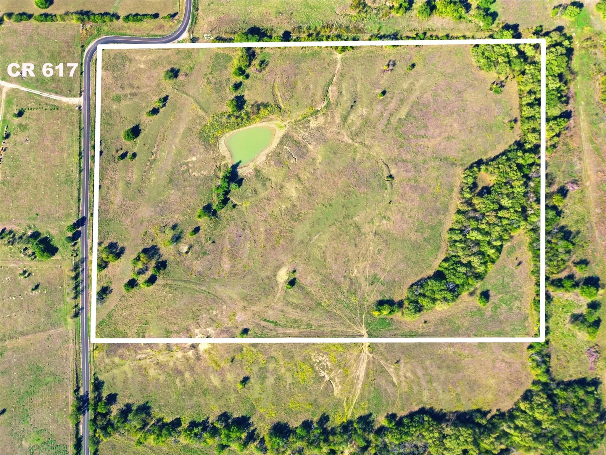 Unimproved Land For Sale in Collin County , 16947 TBA 01 County Road 617, Farmersville, Texas 75442, 0, 0, Garage spaces, 0 Sqft, built in 1994, mls#21412927, Real Estate Agent in Farmersville, Homes For Sale in Collin county, Homes For Sale in Farmersville, Realtor in Farmersville Texas, Real Estate Brokerage Independent Realty Texas, Luminita Cordes Realtor