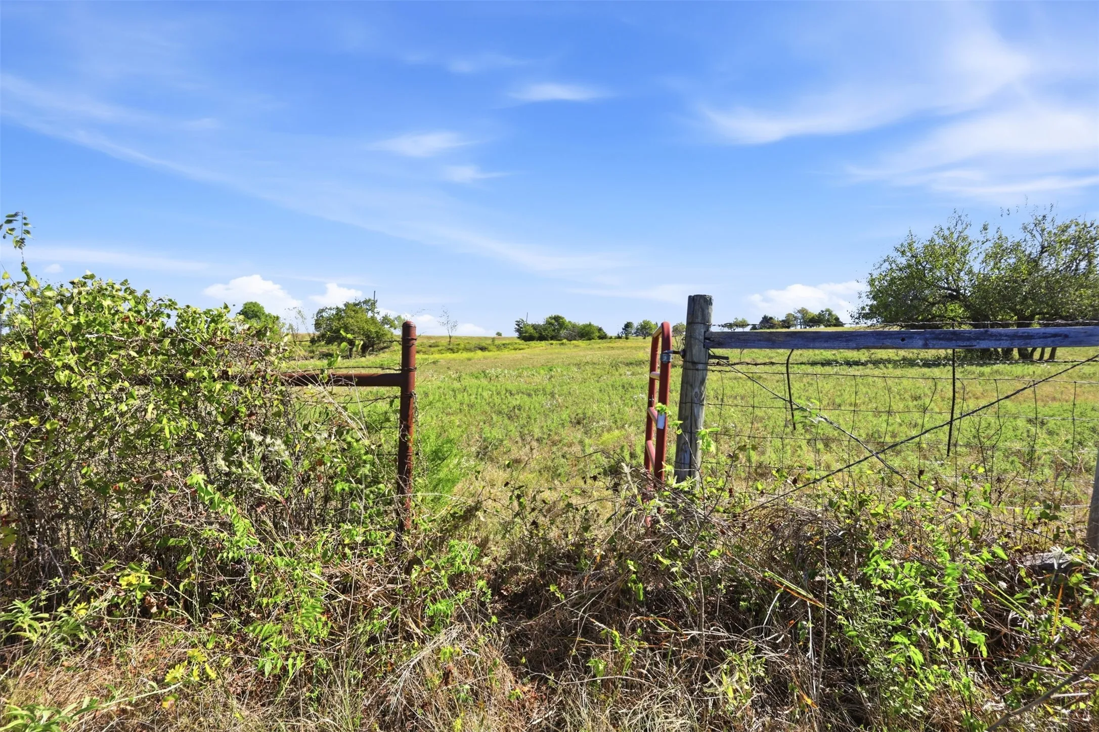 Unimproved Land For Sale in Collin County , 16947 TBA 01 County Road 617, Farmersville, Texas 75442, 0, 0, Garage spaces, 0 Sqft, built in 1994, mls#21412927, Real Estate Agent in Farmersville, Homes For Sale in Collin county, Homes For Sale in Farmersville, Realtor in Farmersville Texas, Real Estate Brokerage Independent Realty Texas, Luminita Cordes Realtor