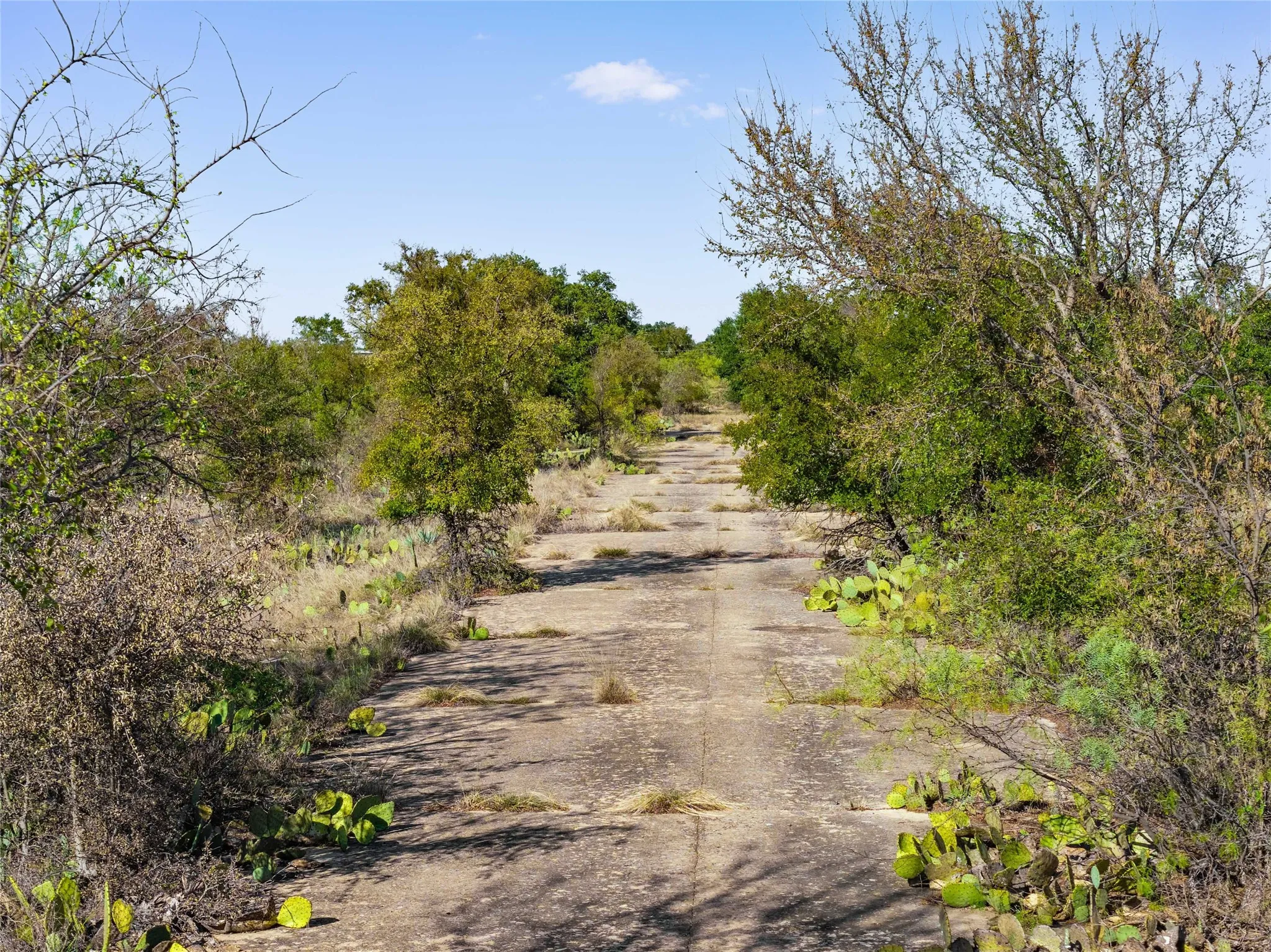 Unimproved Land For Sale in Brown County , TBD Mustang Dr., Brownwood, Texas 76801, 0, 0, Garage spaces, 0 Sqft, built in 0, mls#21418128, Real Estate Agent in Brownwood, Homes For Sale in Brown county, Homes For Sale in Brownwood, Realtor in Brownwood Texas, Real Estate Brokerage Independent Realty Texas, Luminita Cordes Realtor