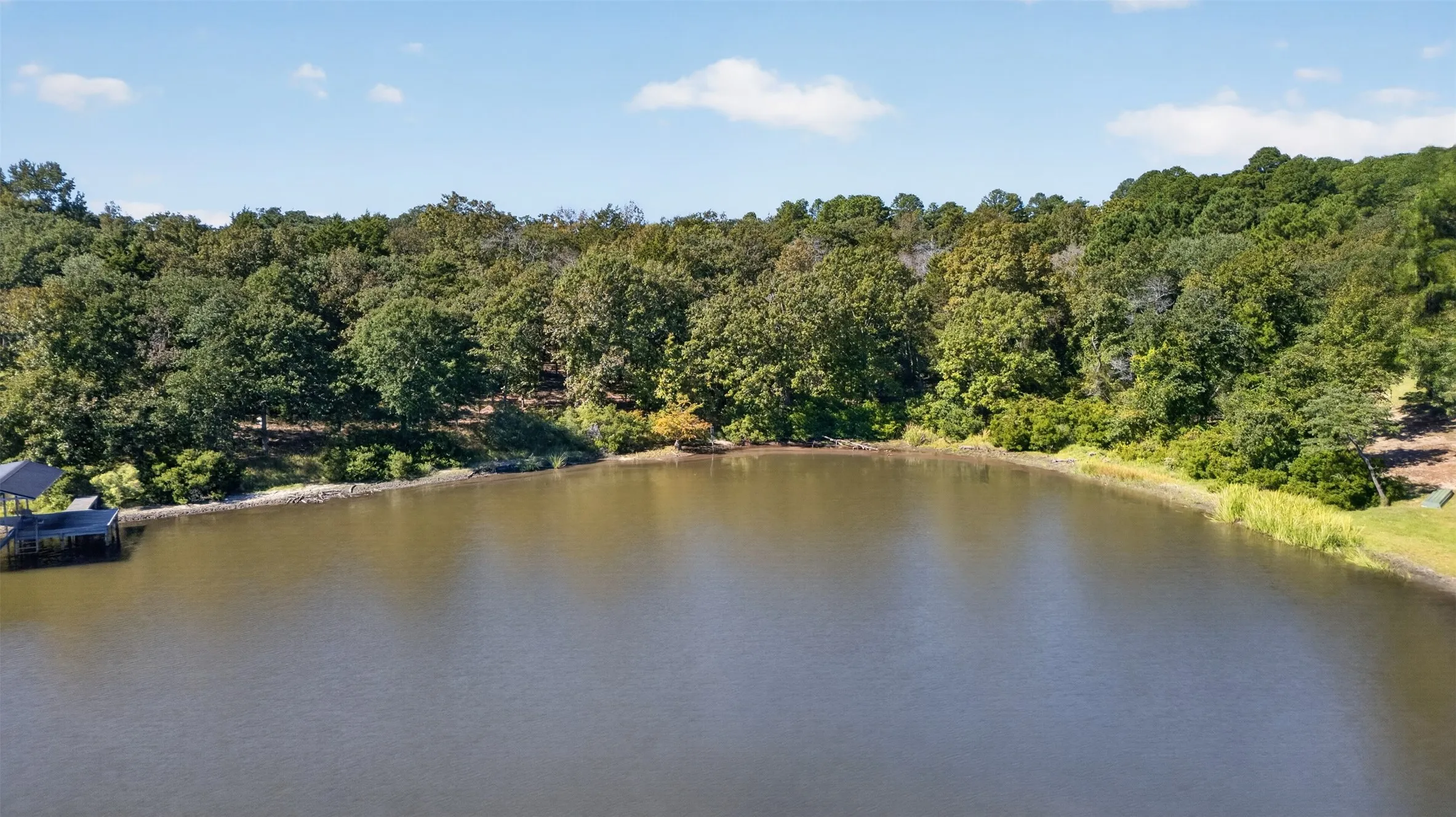 Waterfront property featuring a private boat dock, natural shoreline, and dense woodland canopy