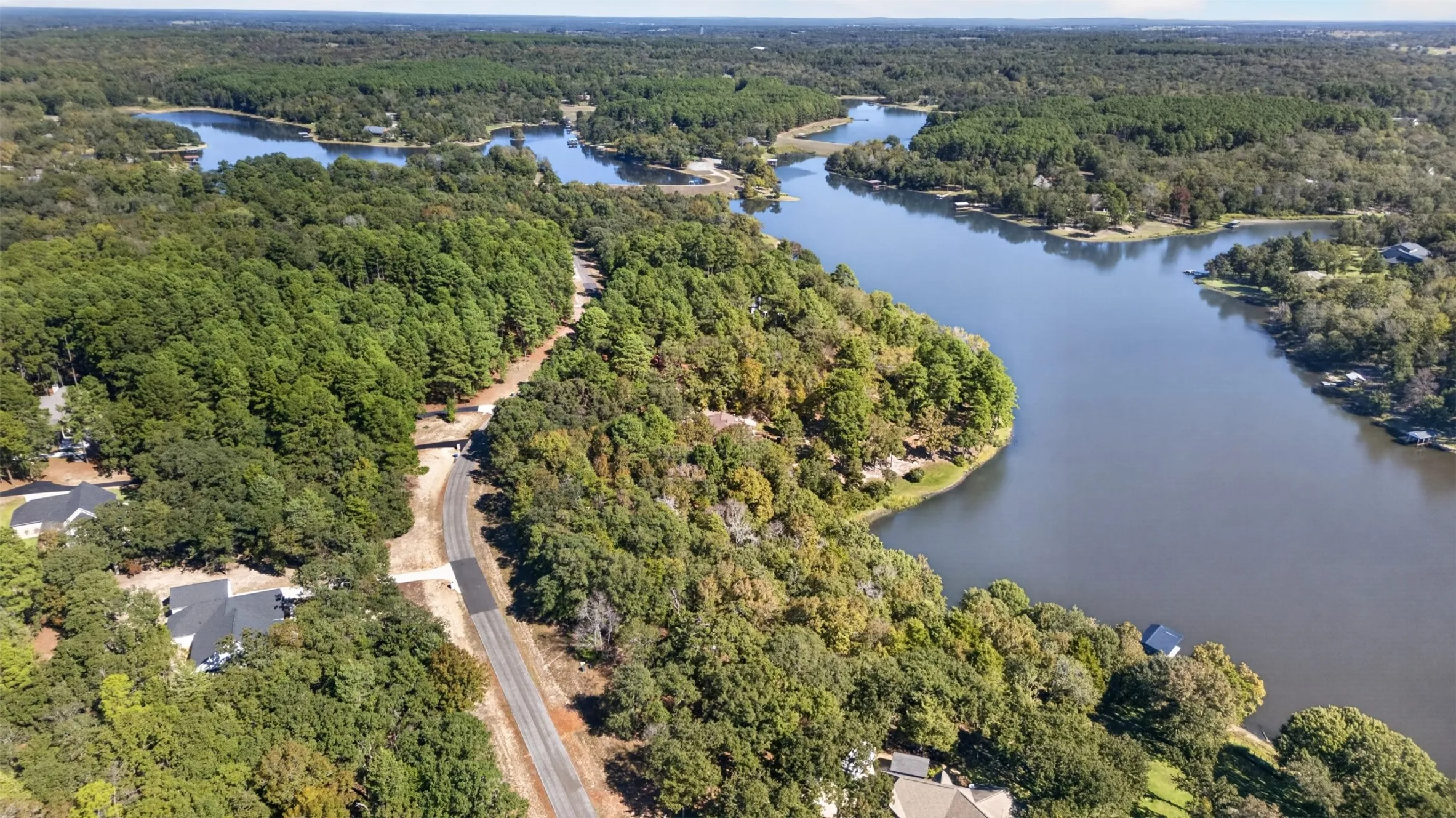 Aerial perspective featuring extensive lake frontage, mature tree canopy, and paved roadway