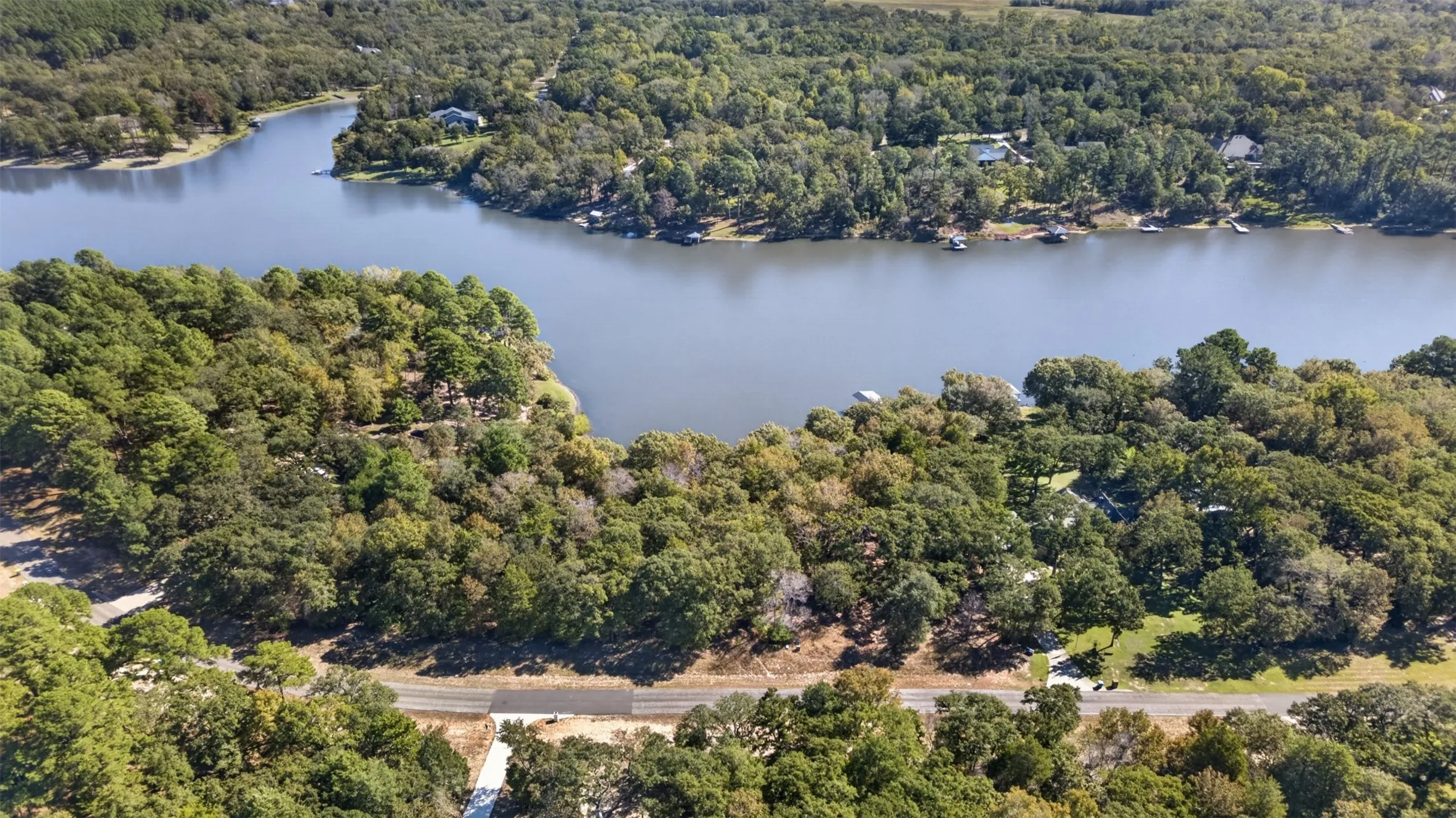 Aerial perspective of waterfront parcel featuring extensive shoreline, dense mature tree canopy, and direct road access