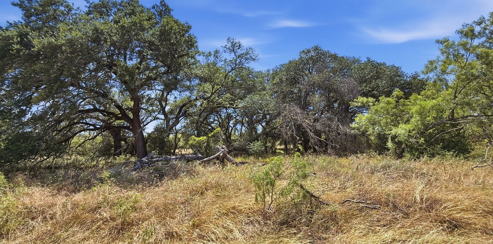 Unimproved Land For Sale in Hamilton County , 895 Pr 202 / Hwy 281, Hamilton, Texas 76531, 0, 0, Garage spaces, 0 Sqft, built in 0, mls#21418422, Real Estate Agent in Hamilton, Homes For Sale in Hamilton county, Homes For Sale in Hamilton, Realtor in Hamilton Texas, Real Estate Brokerage Independent Realty Texas, Luminita Cordes Realtor