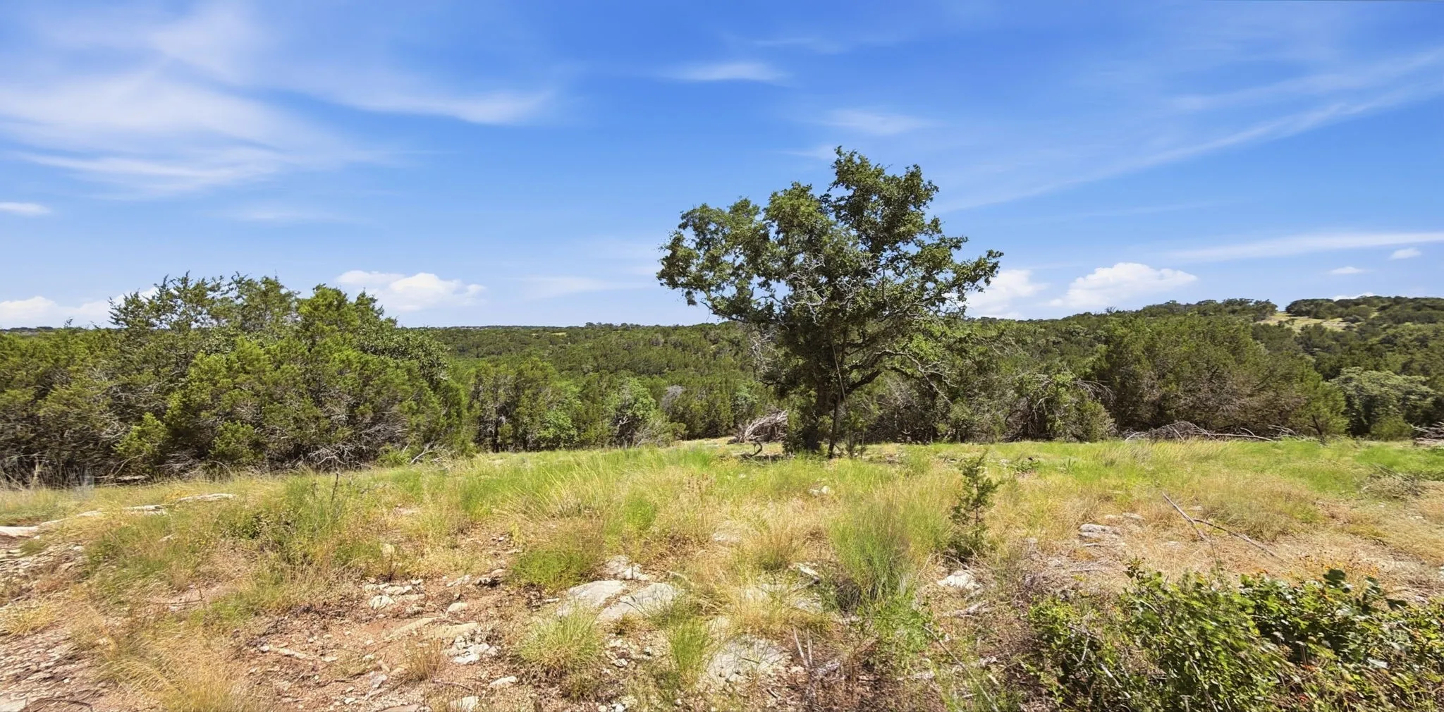 Unimproved Land For Sale in Hamilton County , 895 Pr 202 / Hwy 281, Hamilton, Texas 76531, 0, 0, Garage spaces, 0 Sqft, built in 0, mls#21418422, Real Estate Agent in Hamilton, Homes For Sale in Hamilton county, Homes For Sale in Hamilton, Realtor in Hamilton Texas, Real Estate Brokerage Independent Realty Texas, Luminita Cordes Realtor