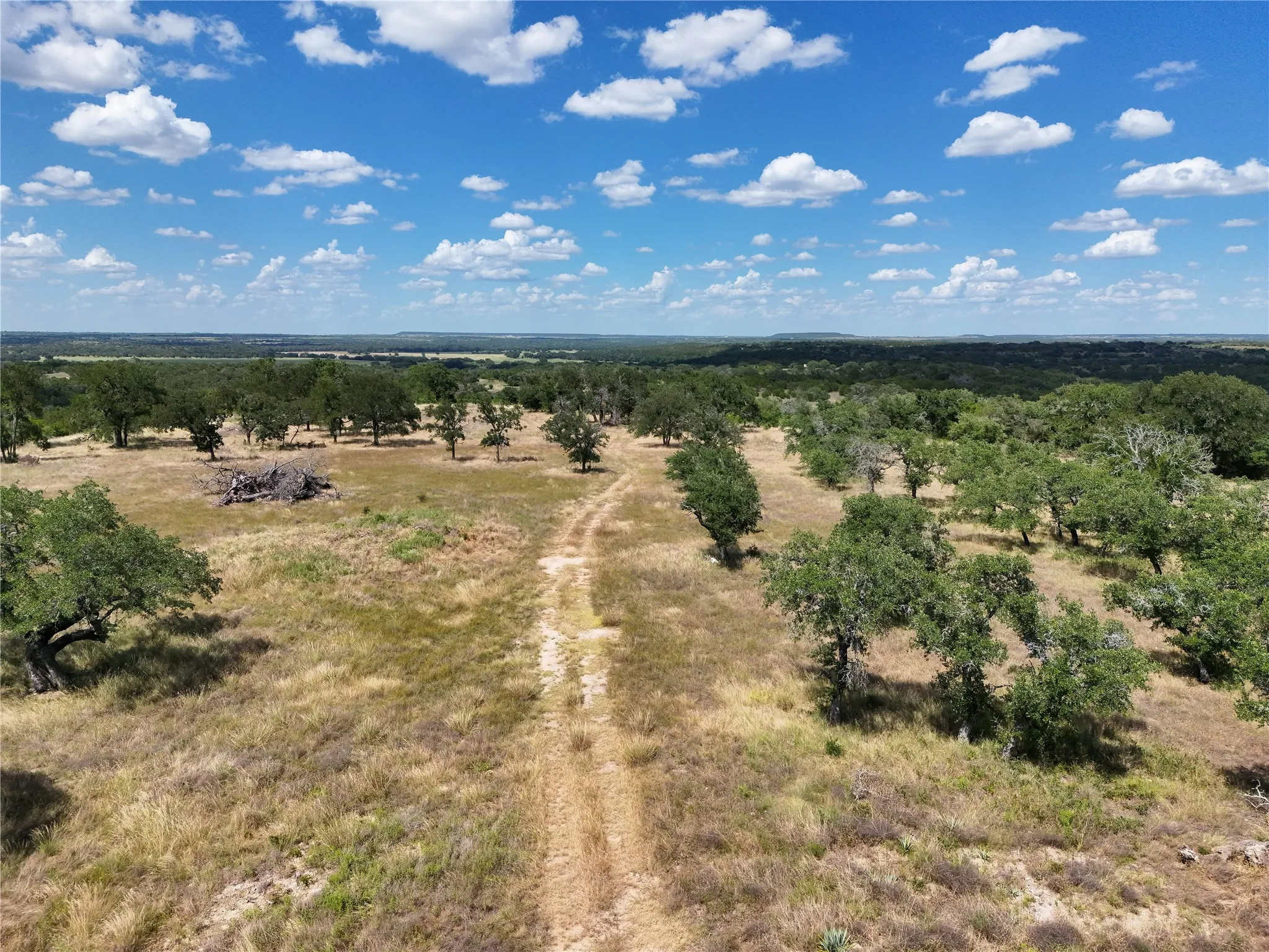 Unimproved Land For Sale in Hamilton County , 895 Pr 202 / Hwy 281, Hamilton, Texas 76531, 0, 0, Garage spaces, 0 Sqft, built in 0, mls#21418422, Real Estate Agent in Hamilton, Homes For Sale in Hamilton county, Homes For Sale in Hamilton, Realtor in Hamilton Texas, Real Estate Brokerage Independent Realty Texas, Luminita Cordes Realtor